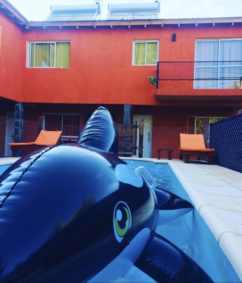 The Gringos The Gringos