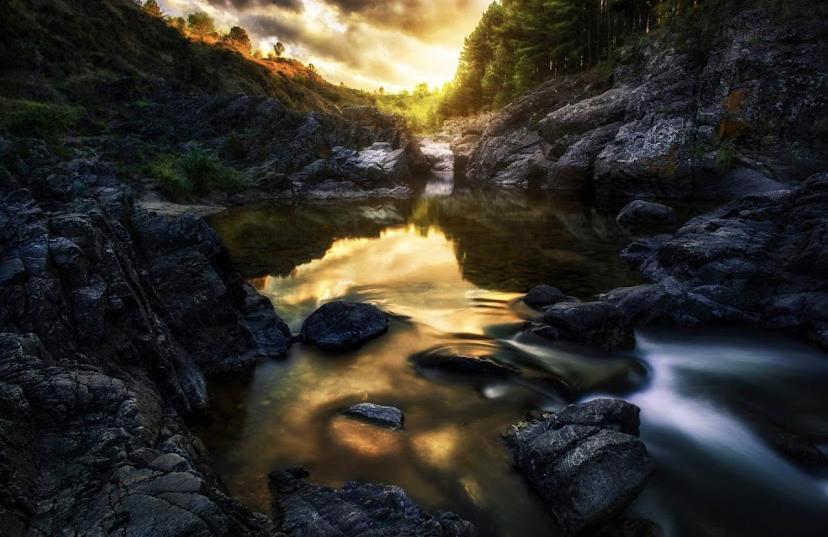 The Gringos The Gringos