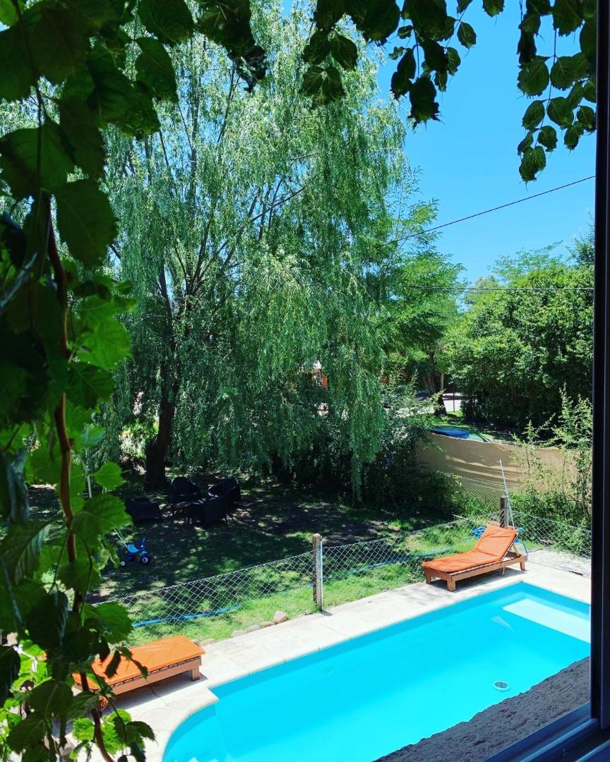 The Gringos The Gringos