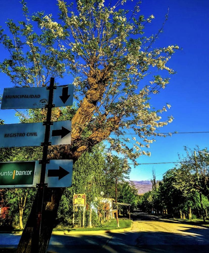 The Gringos The Gringos