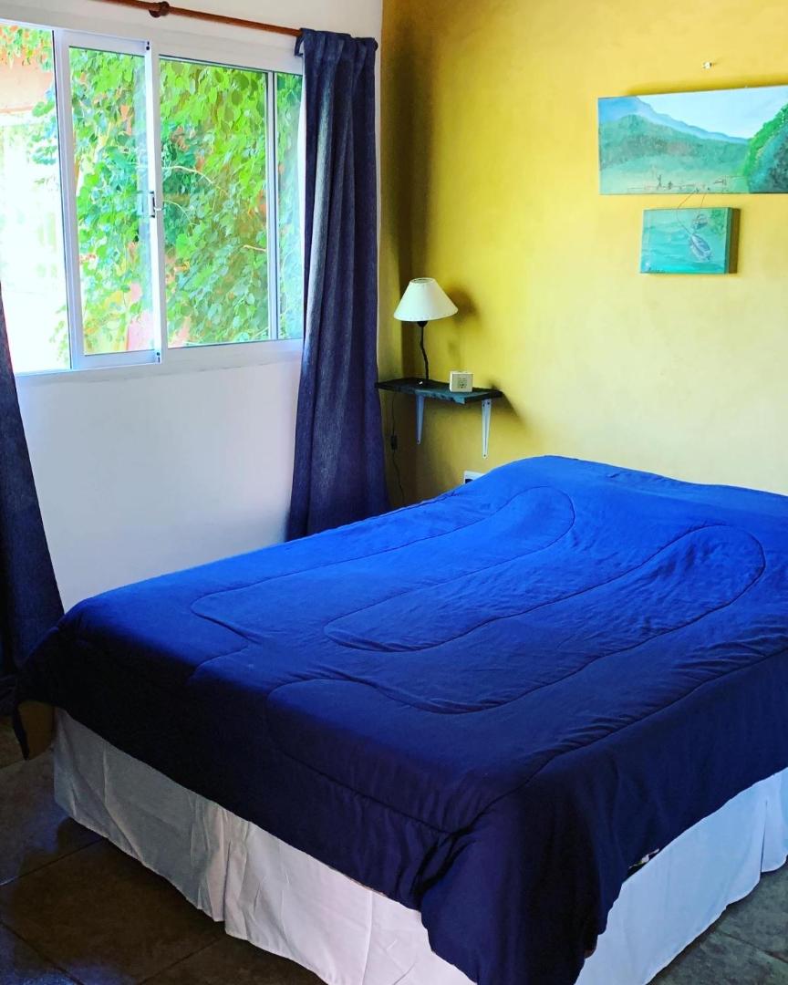 The Gringos The Gringos