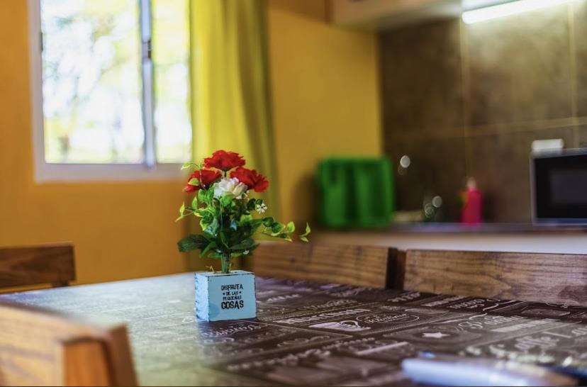 The Gringos The Gringos