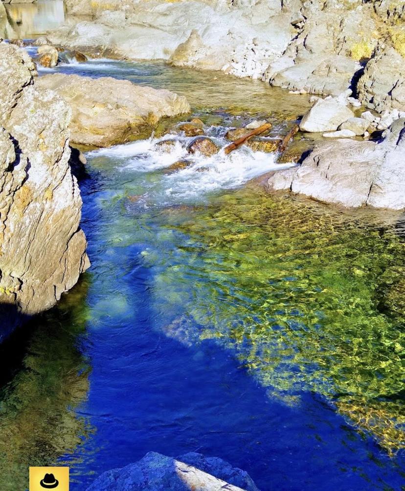 The Gringos The Gringos