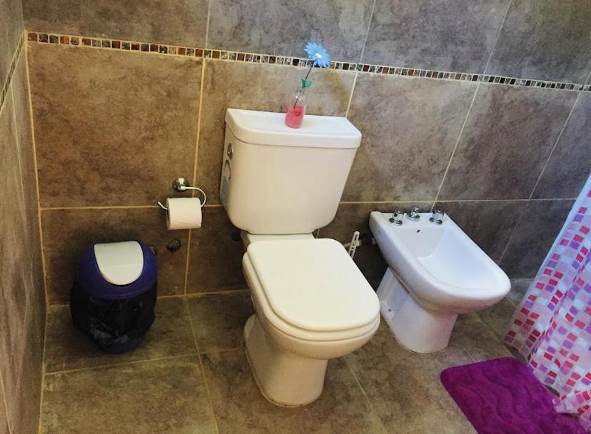 The Gringos The Gringos