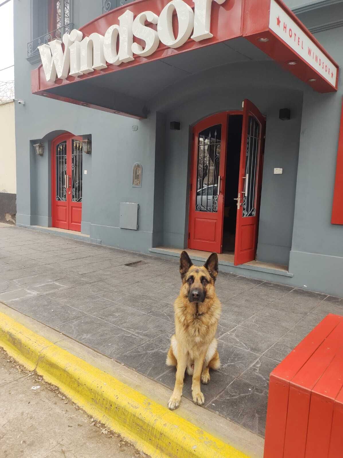 Hotel Windsor Mendoza Hotel Windsor Mendoza