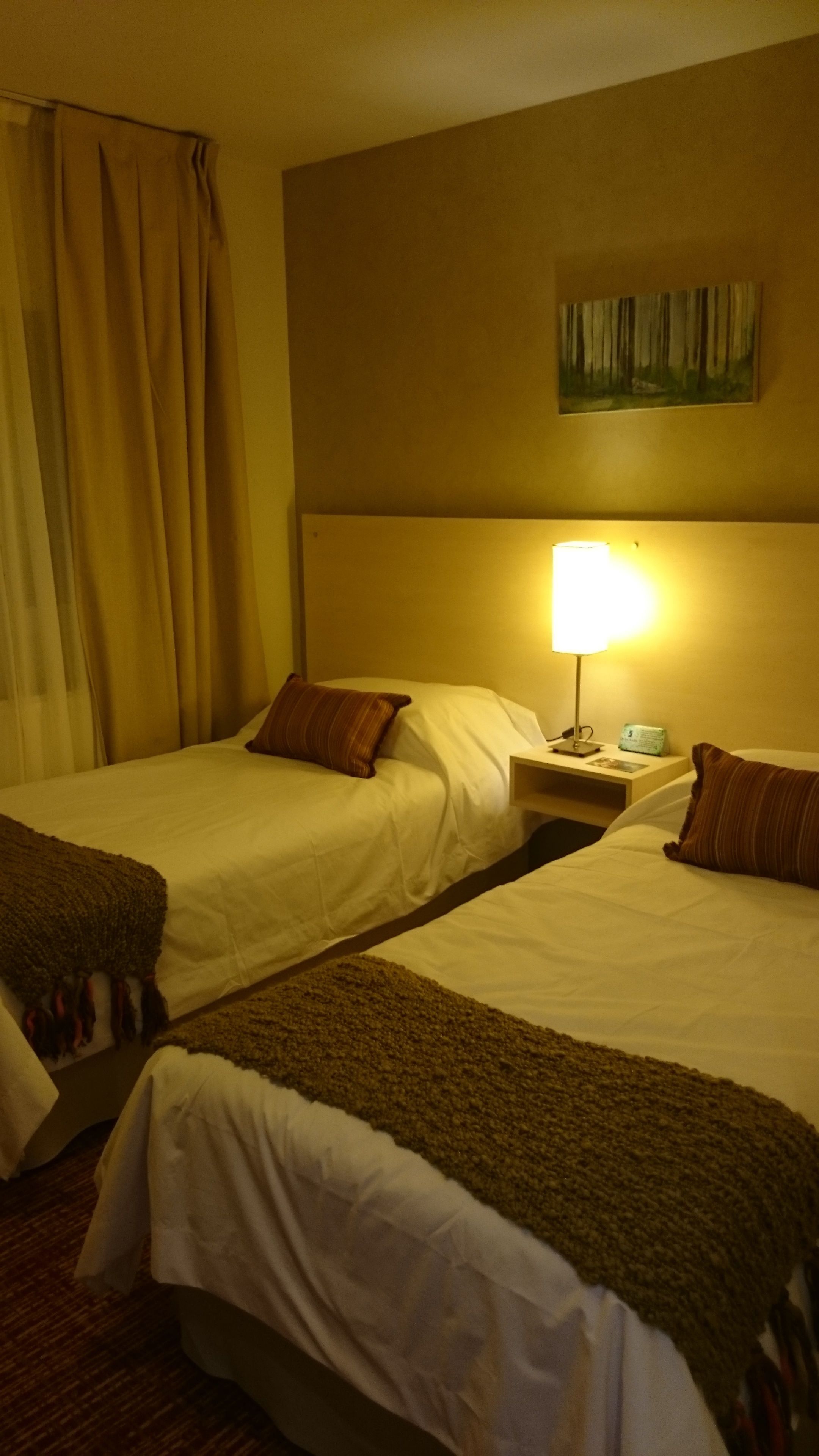De los Andes Hotel De los Andes Hotel