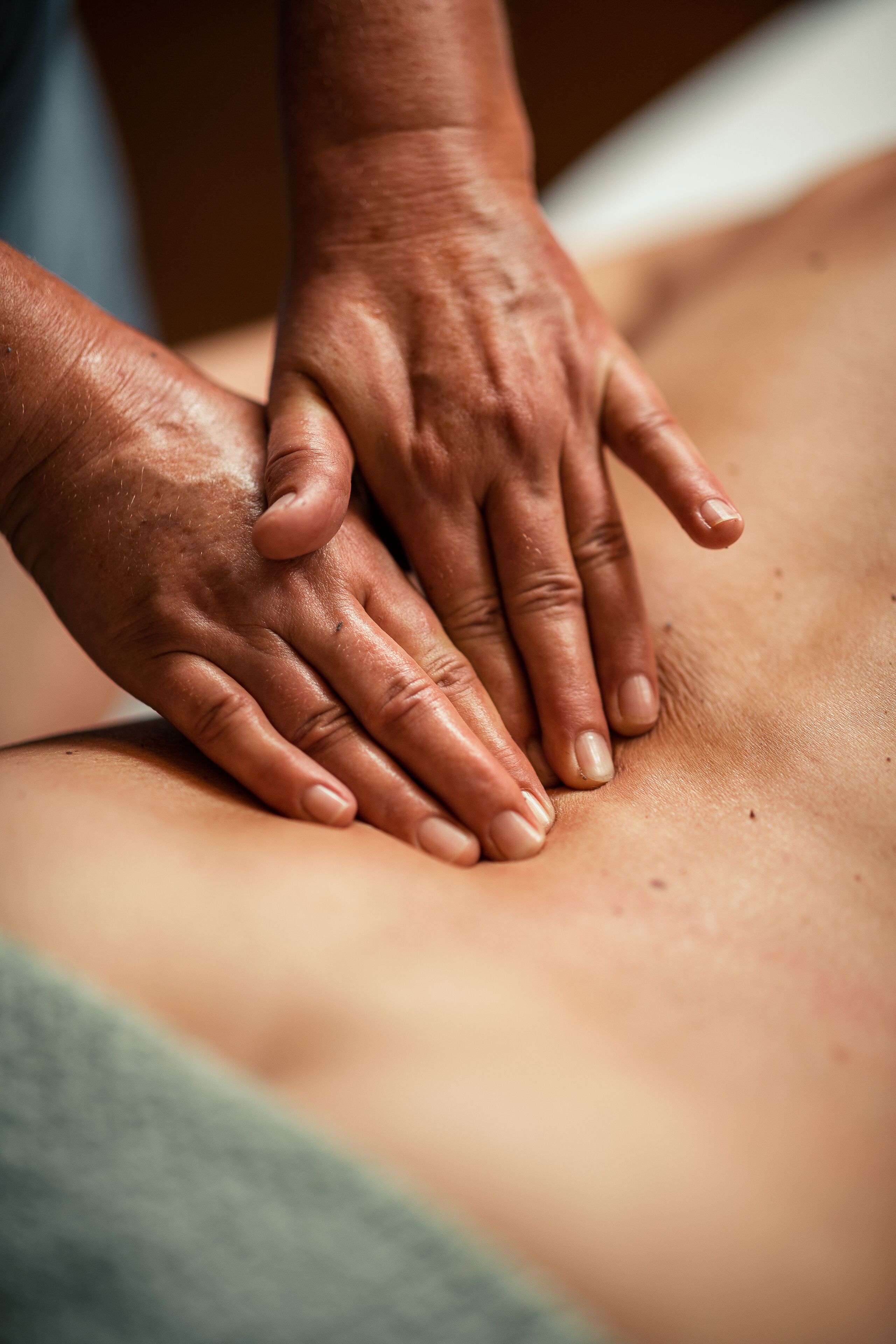 Sendlhofer‘s Sendlhofer‘s