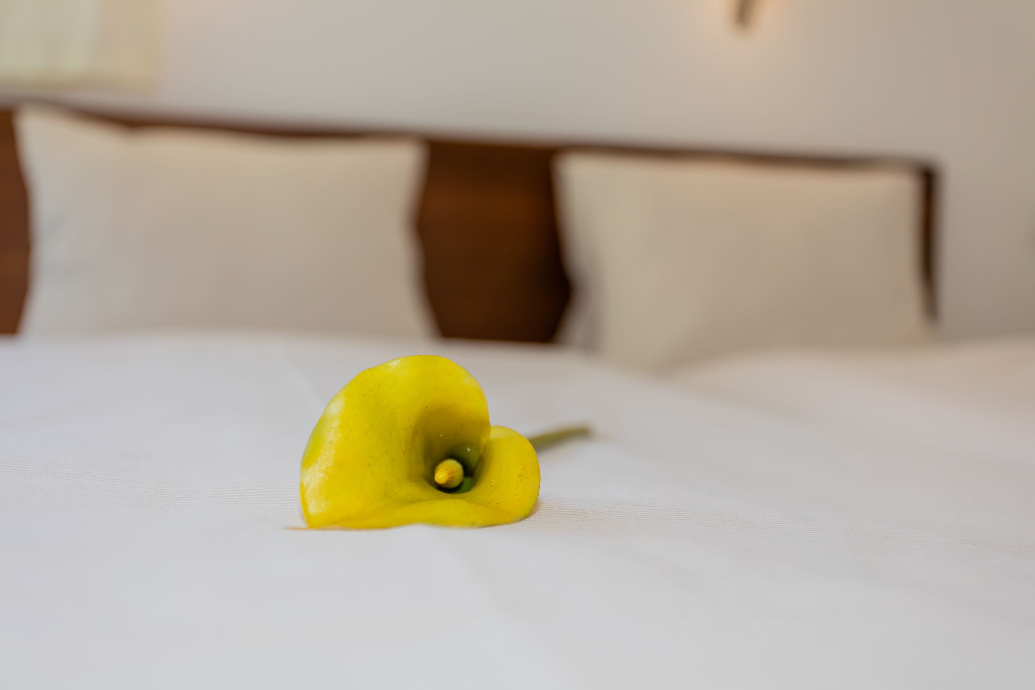 Aparthotel der Gletscherblick Aparthotel der Gletscherblick