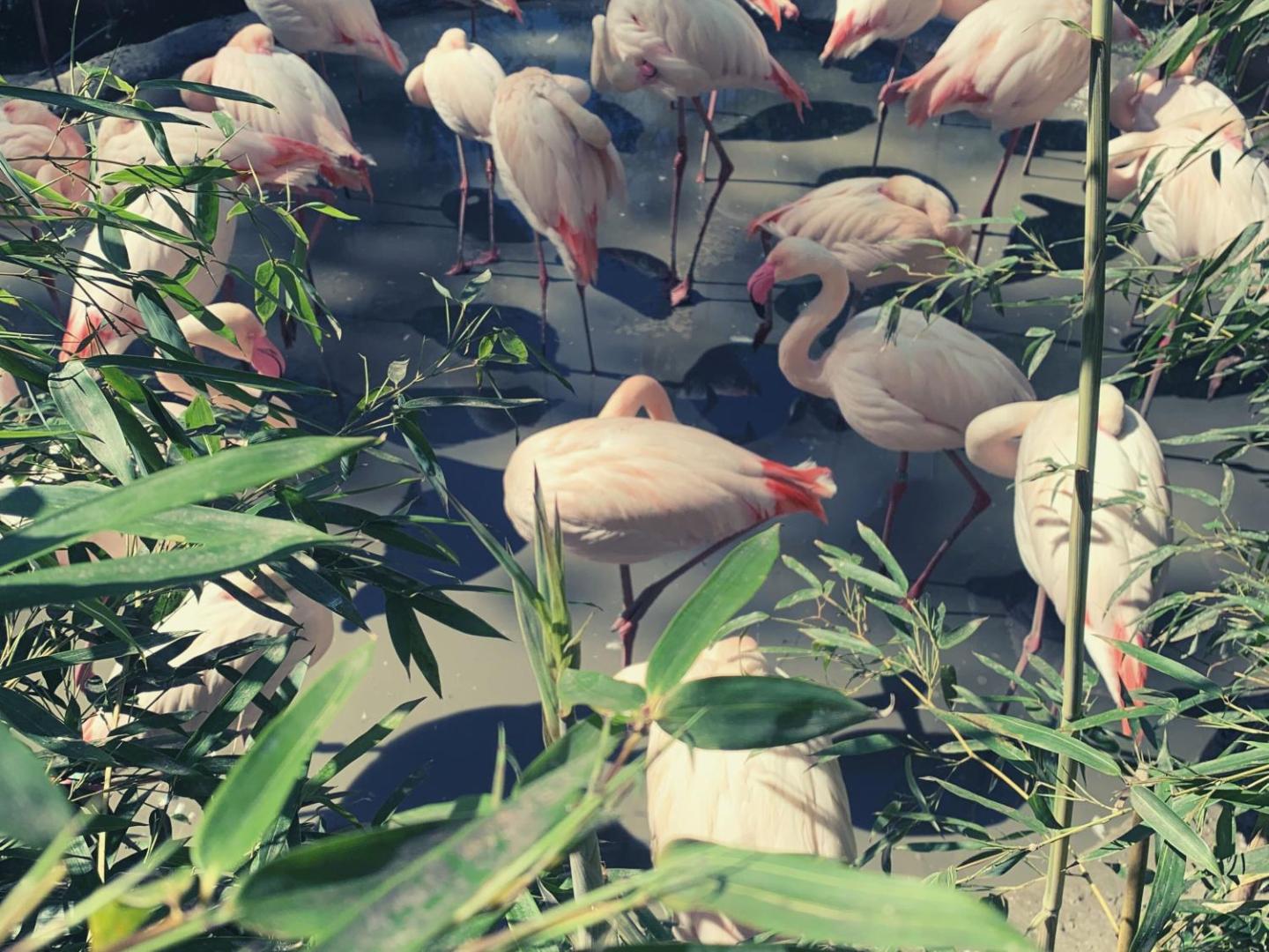 Holiday Inn Salzburg City