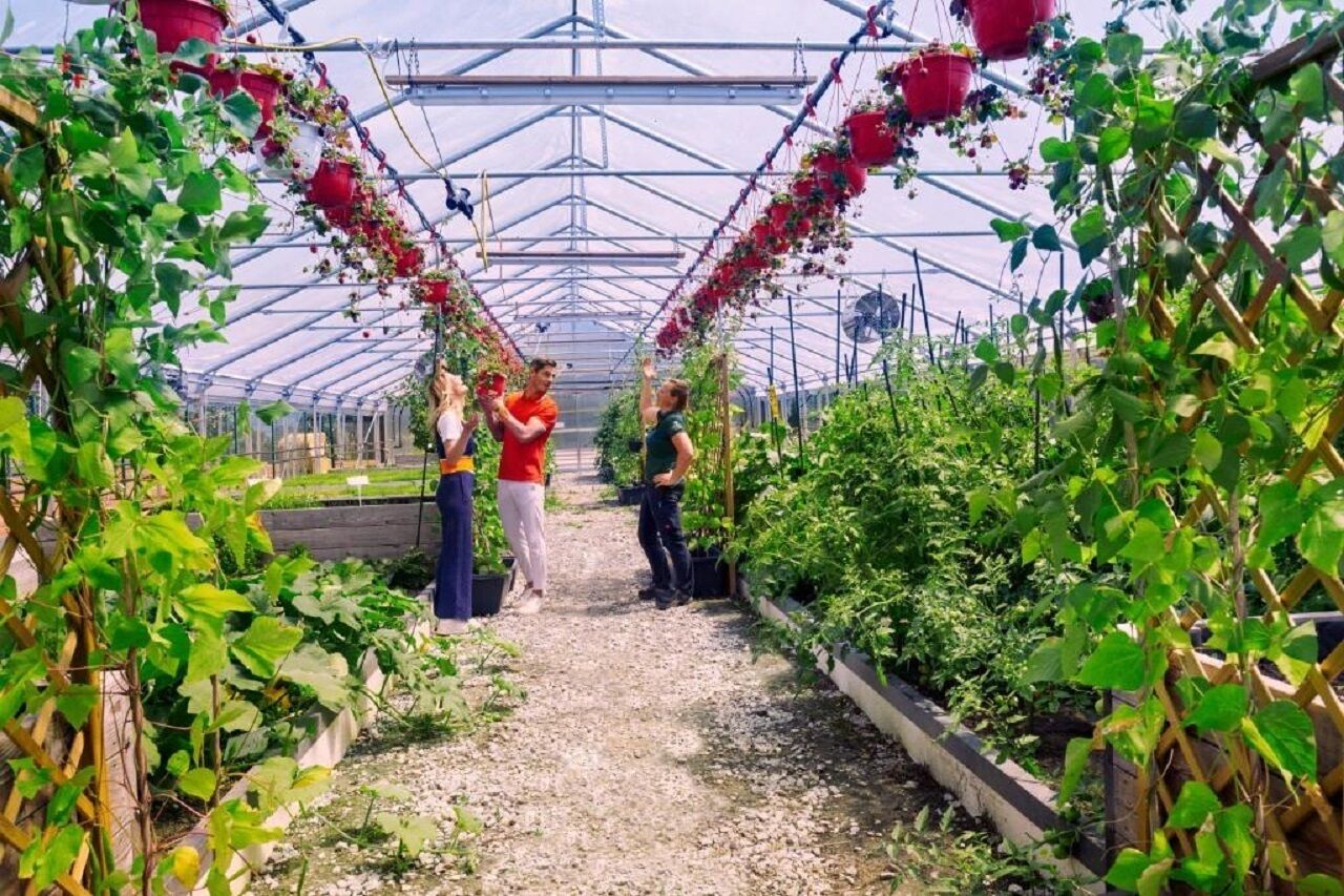 IMLAUER Hotel Schloss Pichlarn IMLAUER Hotel Schloss Pichlarn