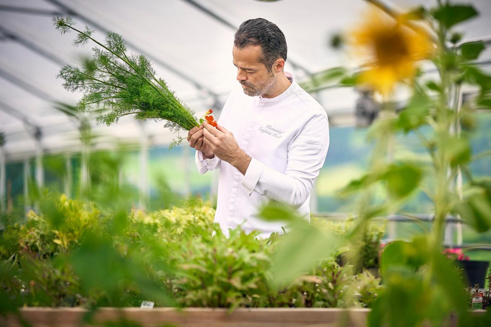 IMLAUER Hotel Schloss Pichlarn IMLAUER Hotel Schloss Pichlarn