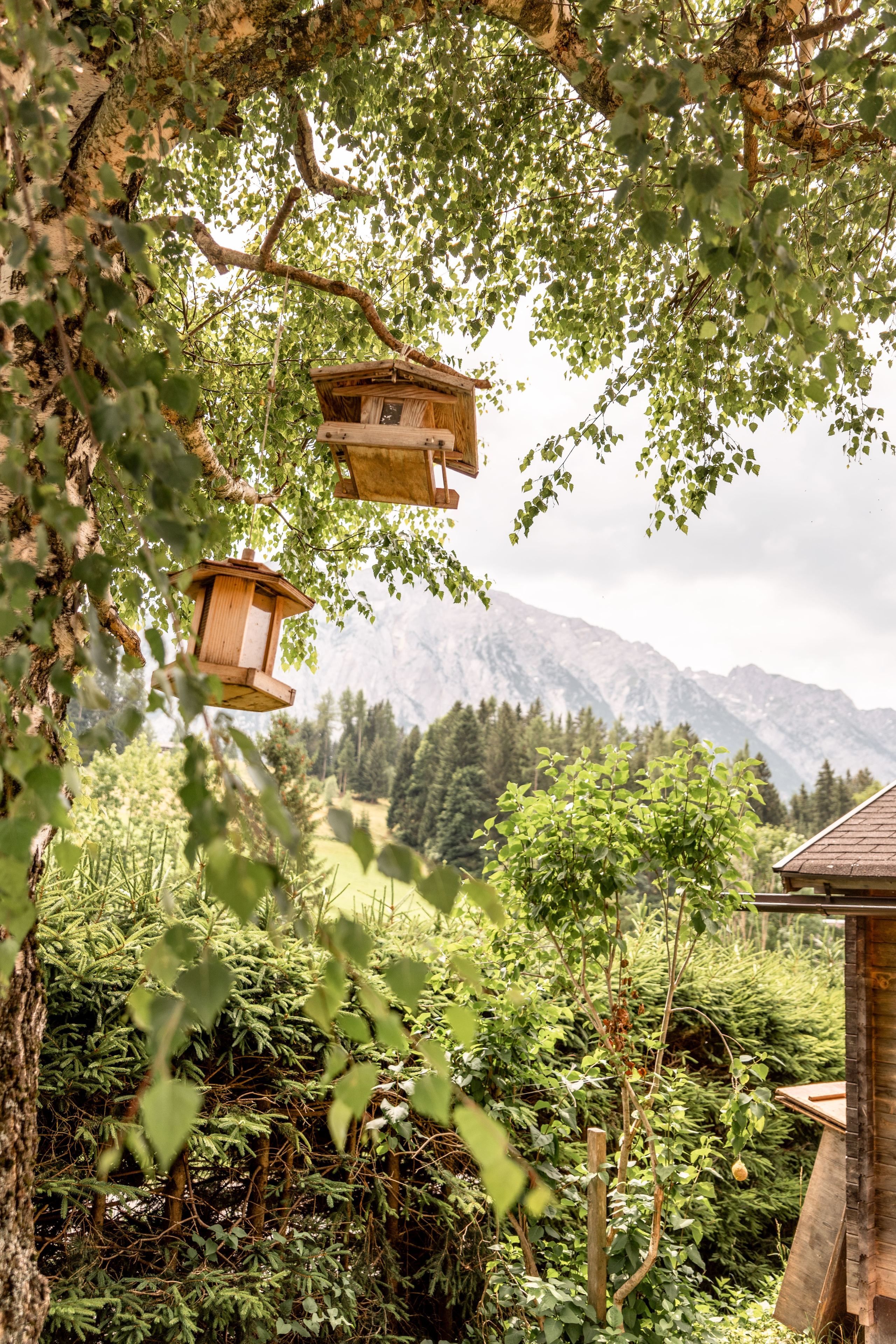 Der Seebacherhof Der Seebacherhof