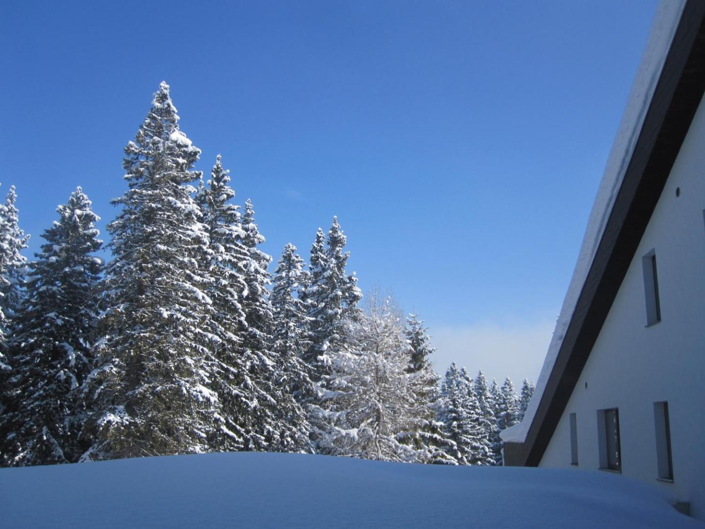 TRIFORÊT alpin.resort TRIFORÊT alpin.resort