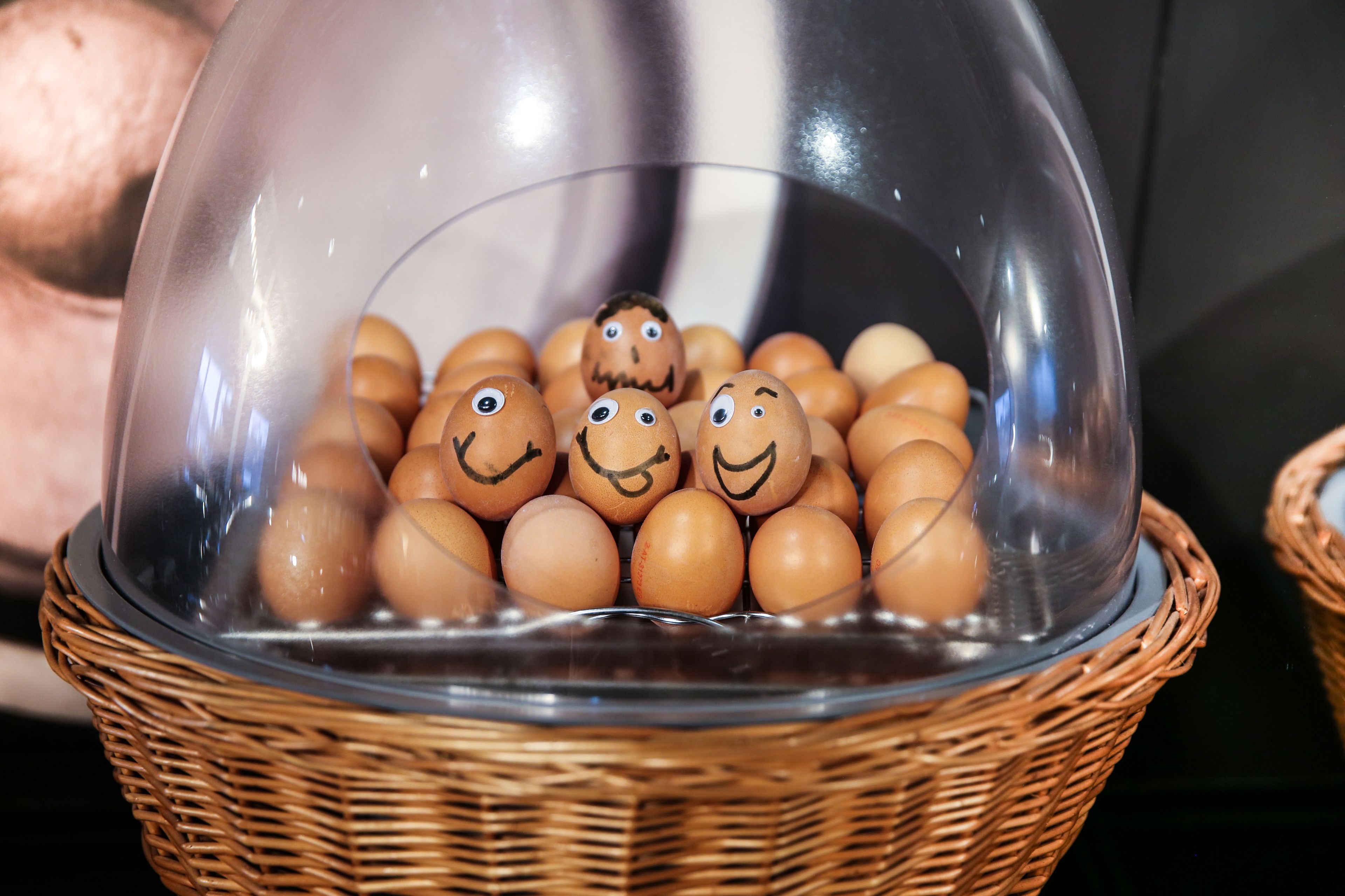 arte Hotel Wien arte Hotel Wien