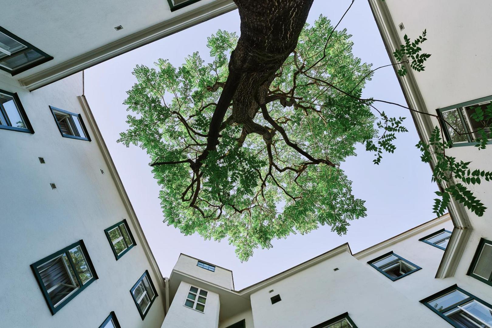 Hotel Westbahn Hotel Westbahn