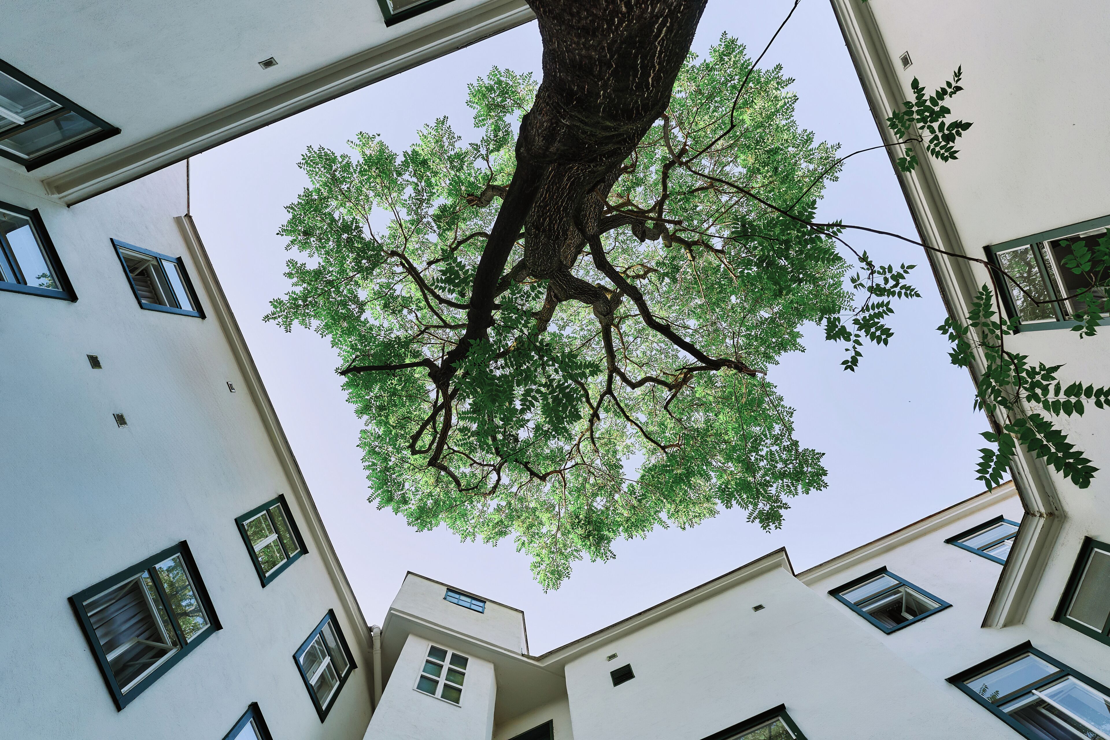 Hotel Westbahn Hotel Westbahn