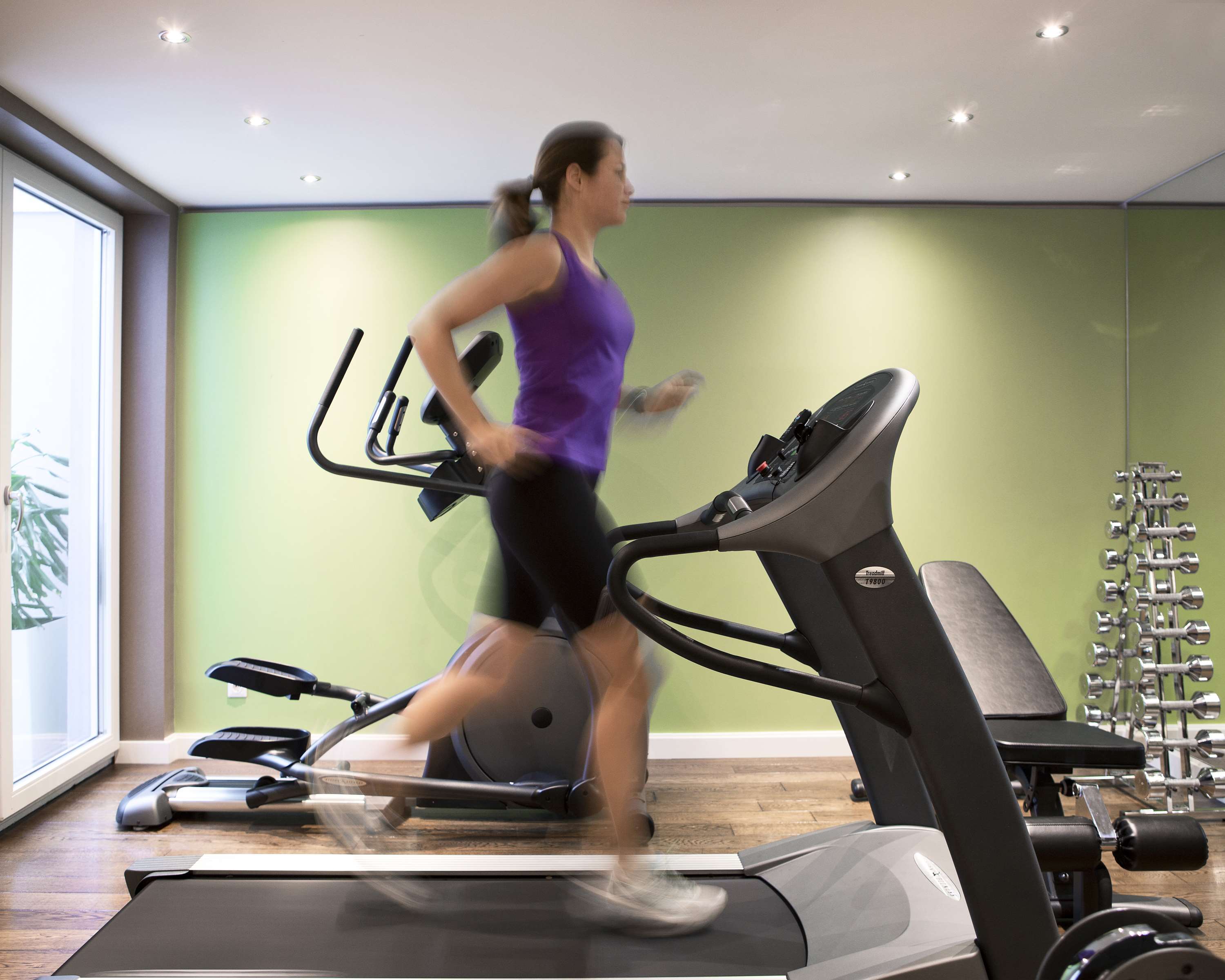 The Harmonie Vienna, BW Premier Collection The Harmonie Vienna, BW Premier Collection