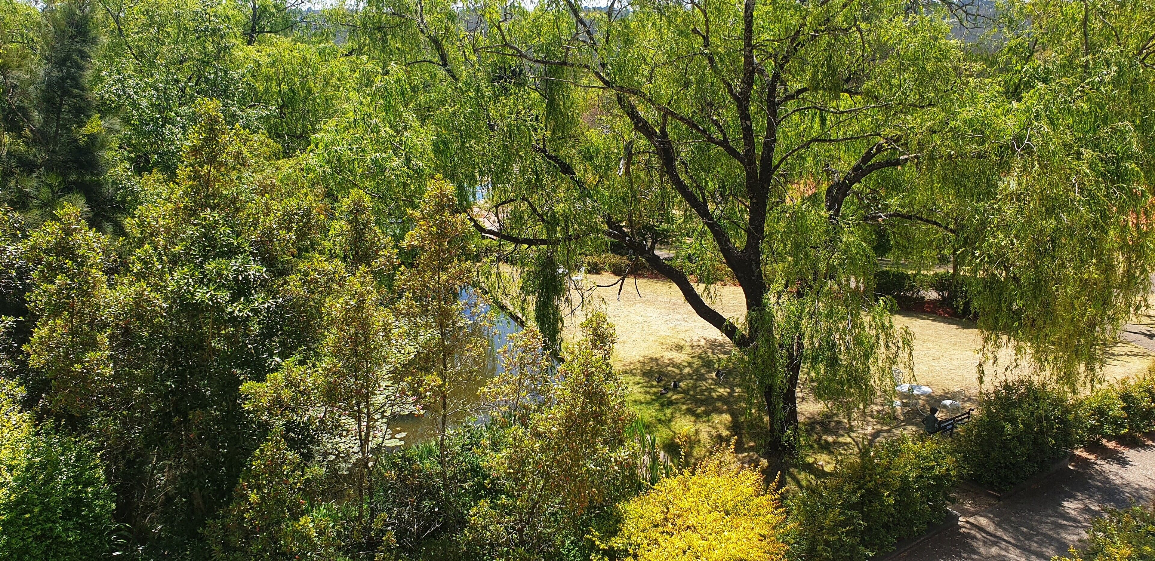 Fairmont Resort Blue Mountains, MGallery by Sofitel Fairmont Resort Blue Mountains, MGallery by Sofitel