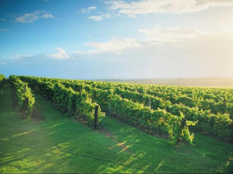 Hunter Gateway Motel