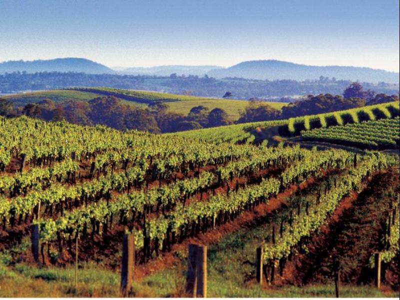 Hunter Gateway Motel