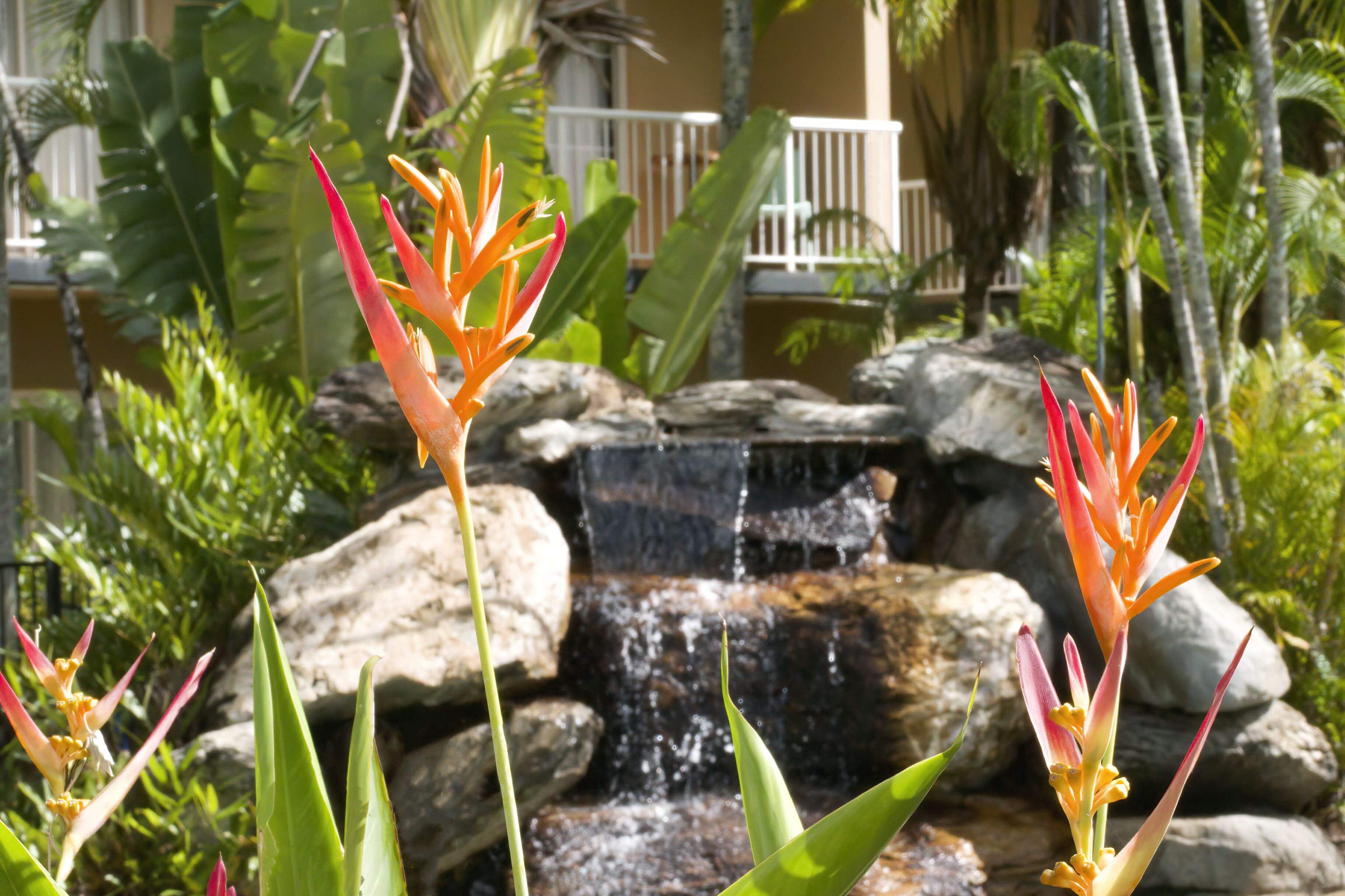 Hotel Tropiq Cairns Hotel Tropiq Cairns
