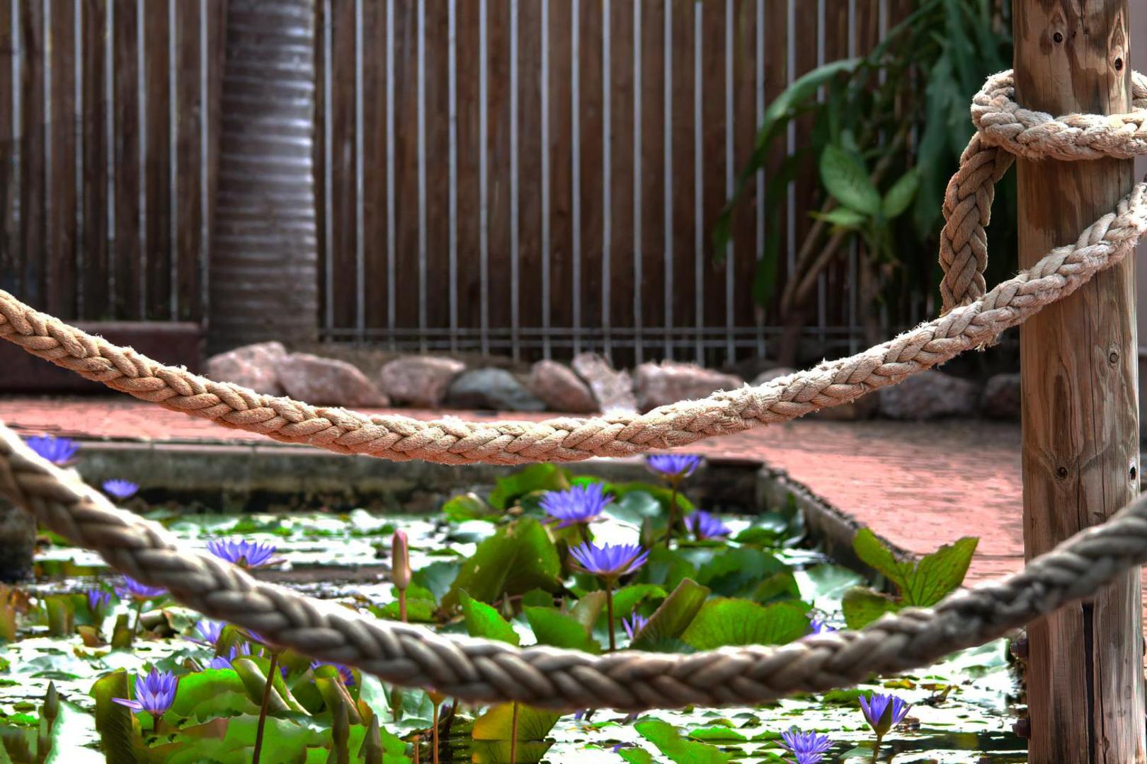 Hotel Tropiq Cairns Hotel Tropiq Cairns