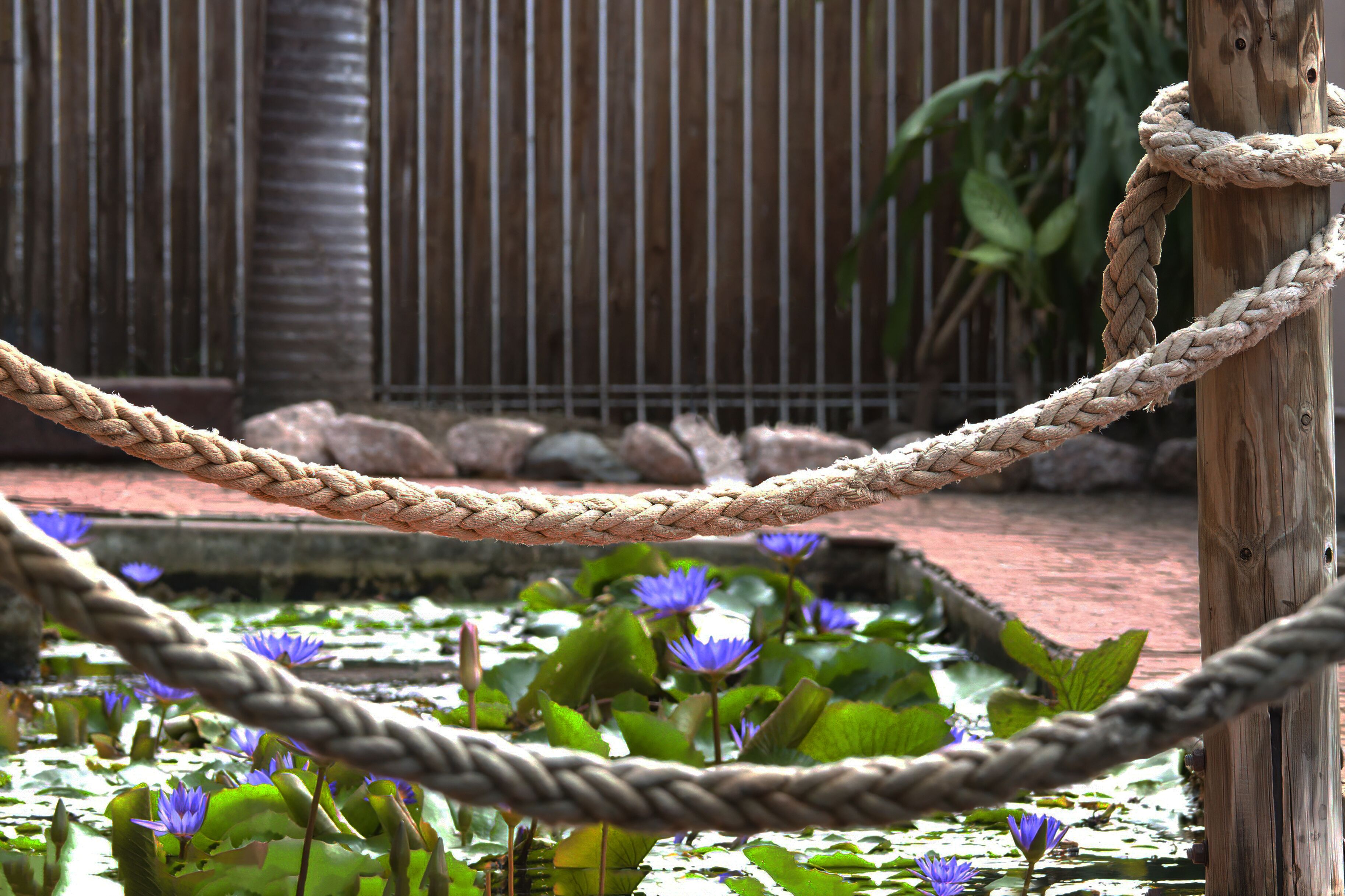 Hotel Tropiq Cairns Hotel Tropiq Cairns