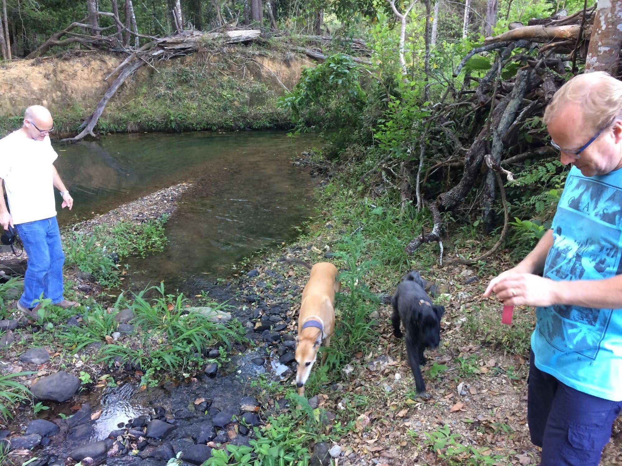 Cooroy Country Cottages Cooroy Country Cottages