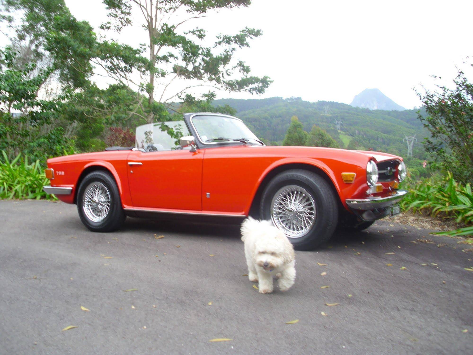 Cooroy Country Cottages Cooroy Country Cottages