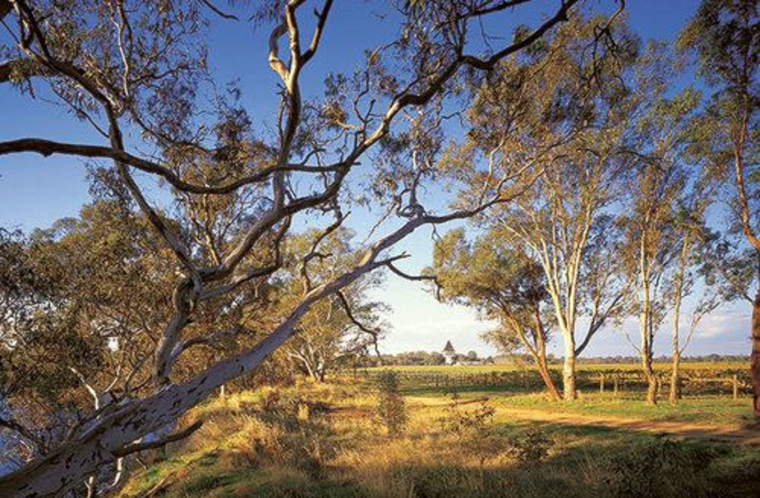 Mitchelton Hotel Mitchelton Hotel