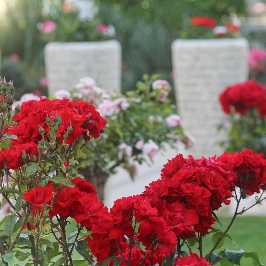 Barceló Royal Beach