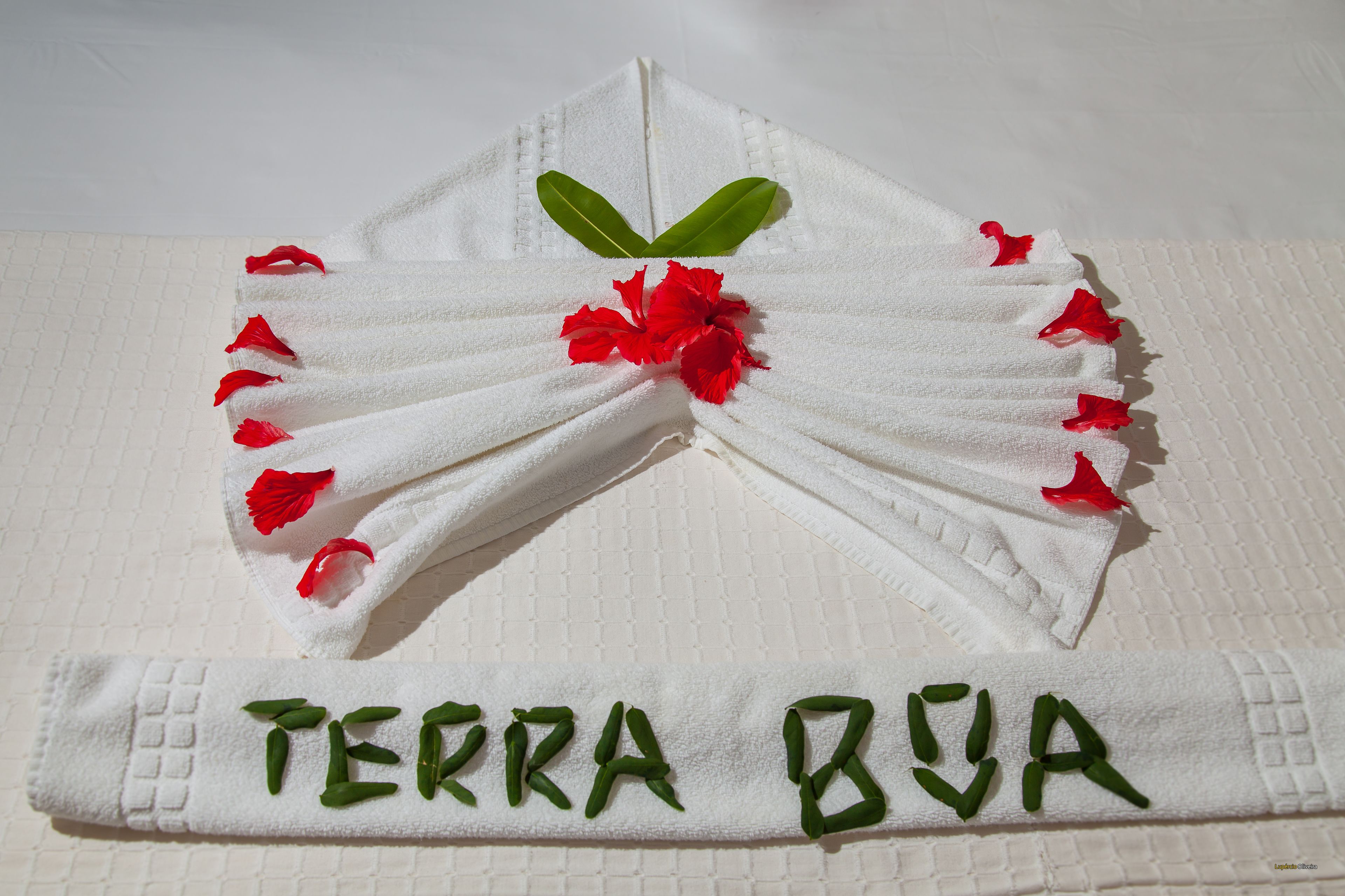 Terra Boa Hotel Boutique Terra Boa Hotel Boutique