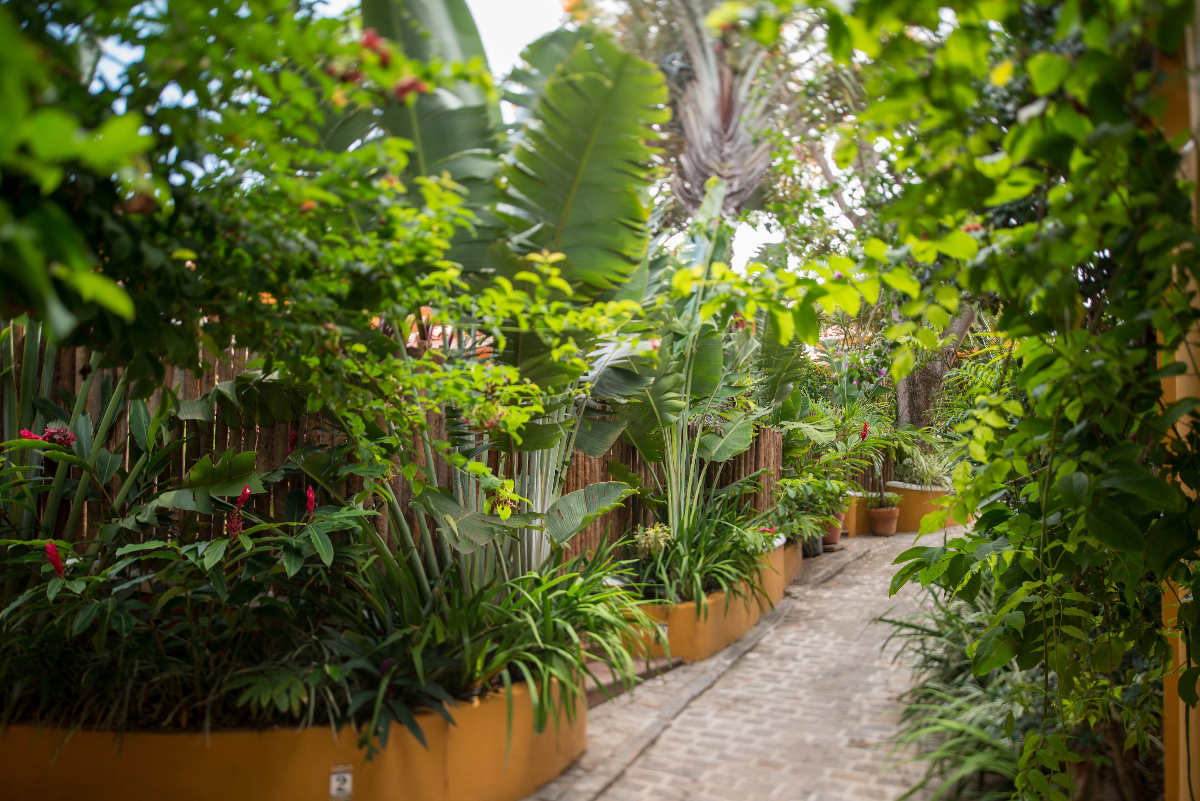 Vila d'Este Handmade Hospitality Hotel Vila d'Este Handmade Hospitality Hotel