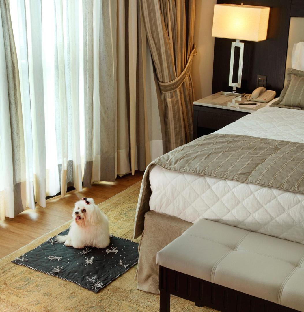Miramar Hotel by Windsor Miramar Hotel by Windsor