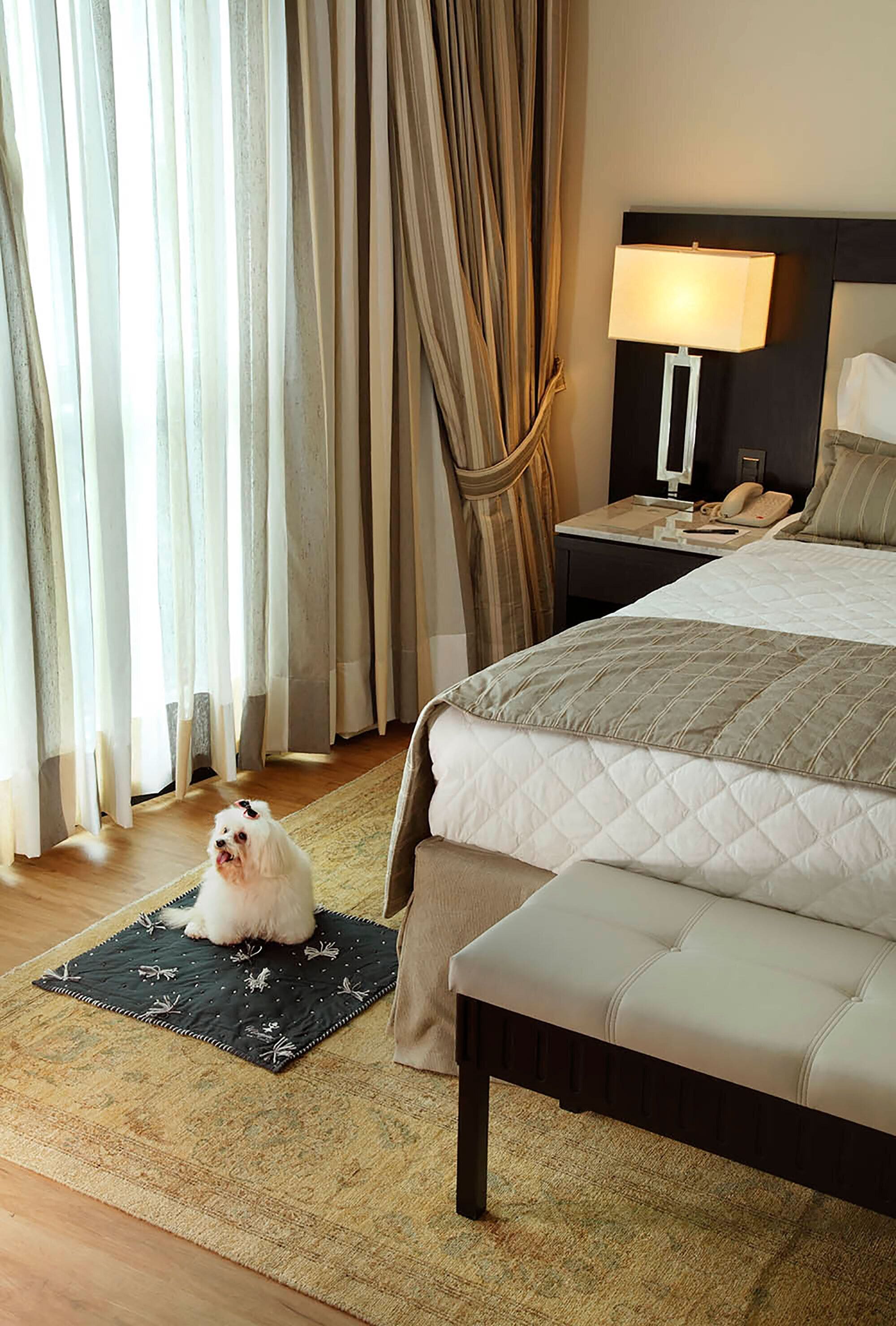 Miramar Hotel by Windsor Miramar Hotel by Windsor