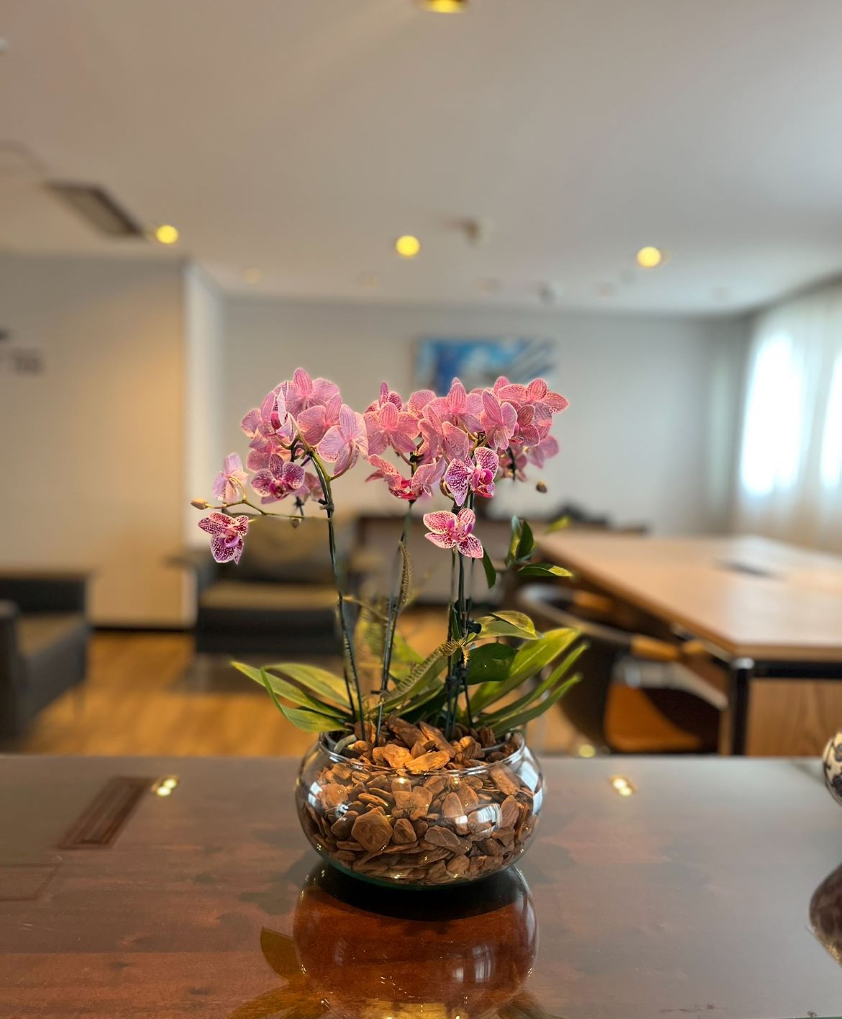 Blue Tree Premium Verbo Divino Blue Tree Premium Verbo Divino