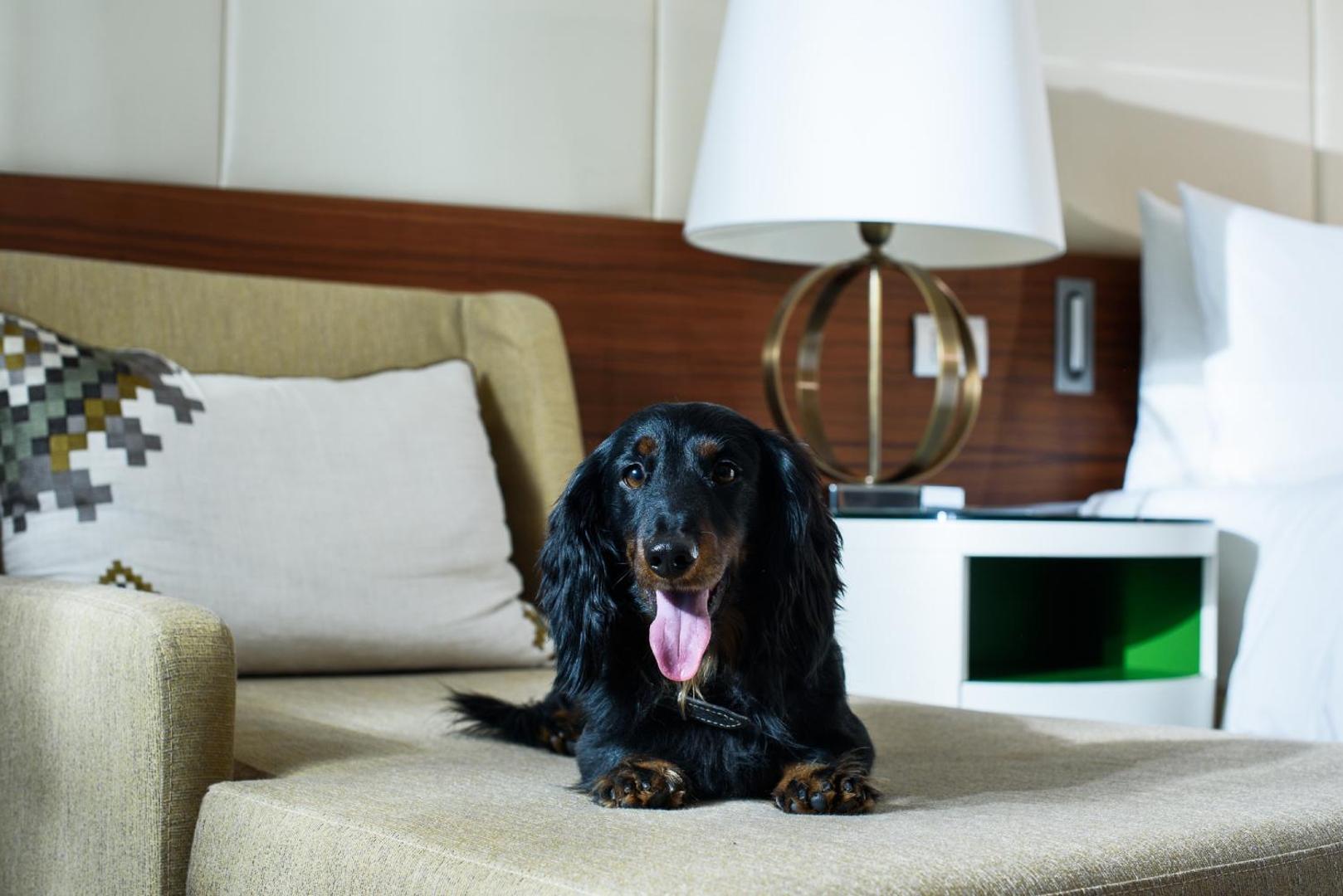 The Renaissance Minsk Congress Hotel and Spa Centre Hotel The Renaissance Minsk Congress Hotel and Spa Centre Hotel