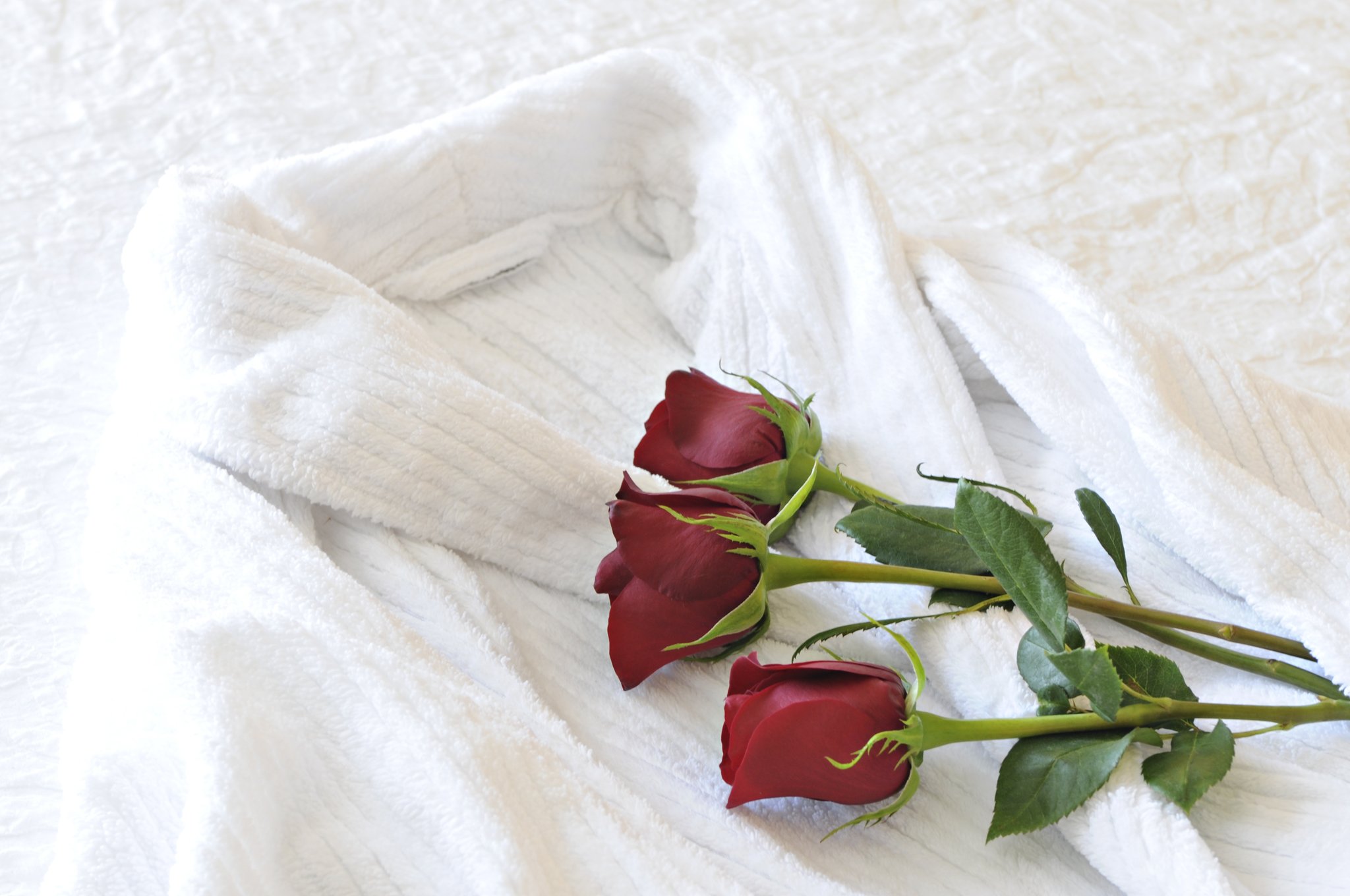 Hampton Inn & Suites by Hilton Saint John Hampton Inn & Suites by Hilton Saint John