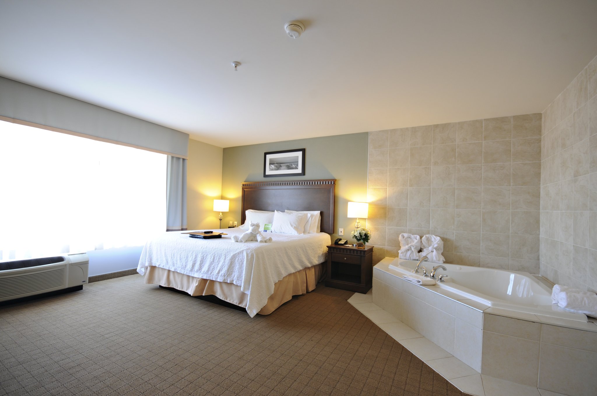 Hampton Inn & Suites by Hilton Saint John Hampton Inn & Suites by Hilton Saint John