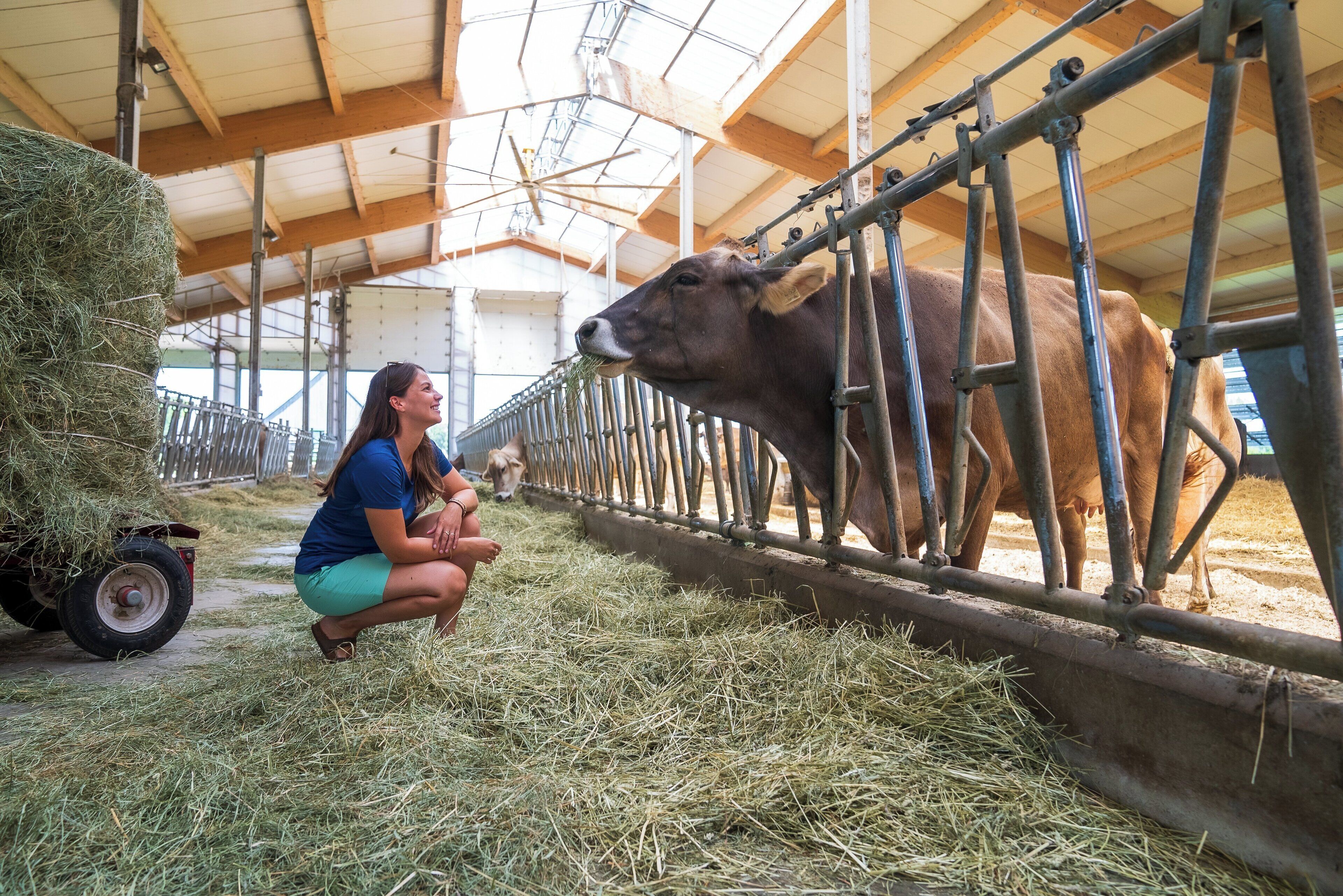 Holiday Inn St-Jean-sur-Richelieu Congrès by IHG