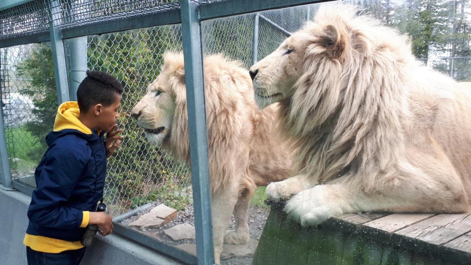 Holiday Inn St-Jean-sur-Richelieu Congrès by IHG