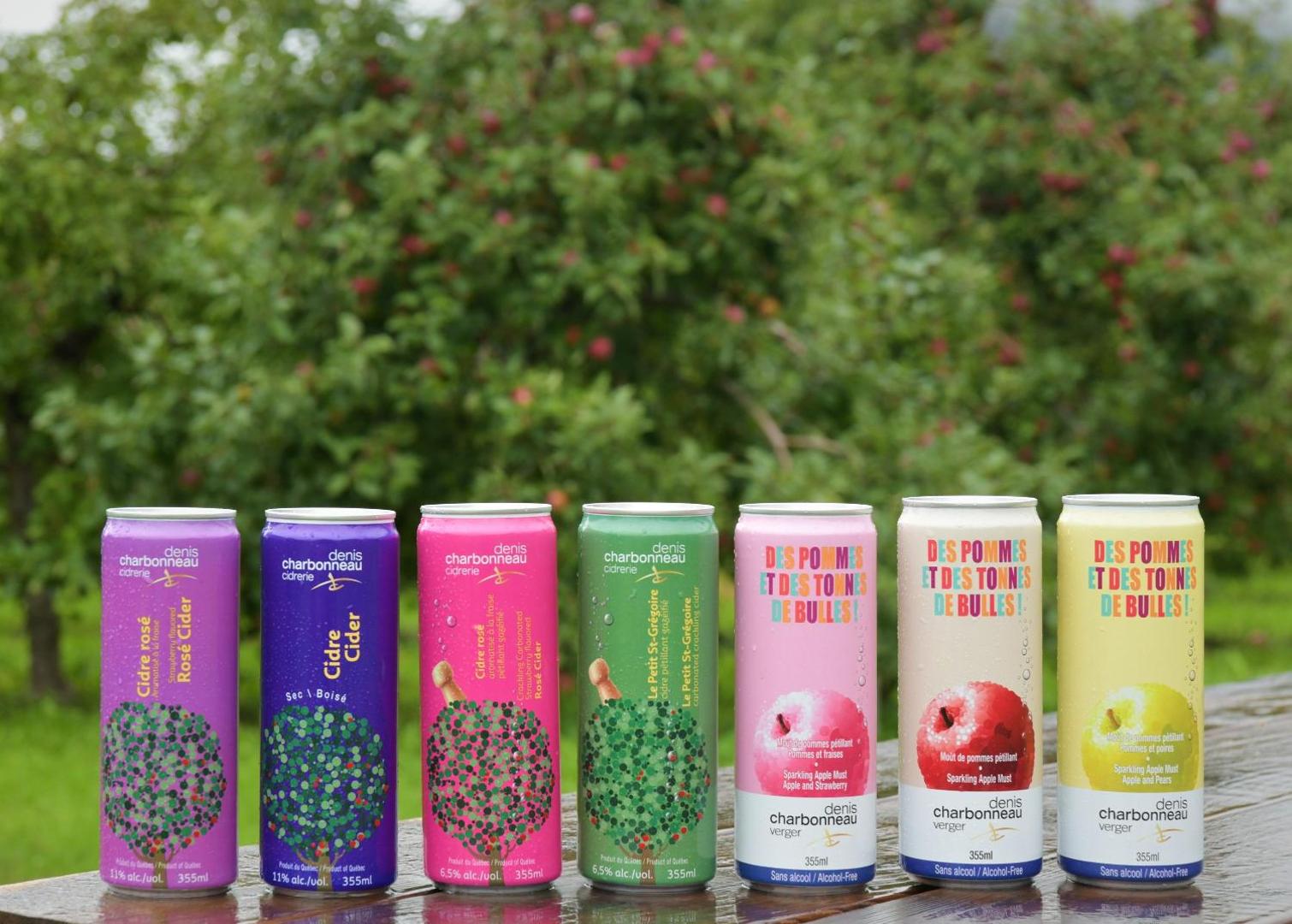 Holiday Inn St-Jean-sur-Richelieu Congrès by IHG