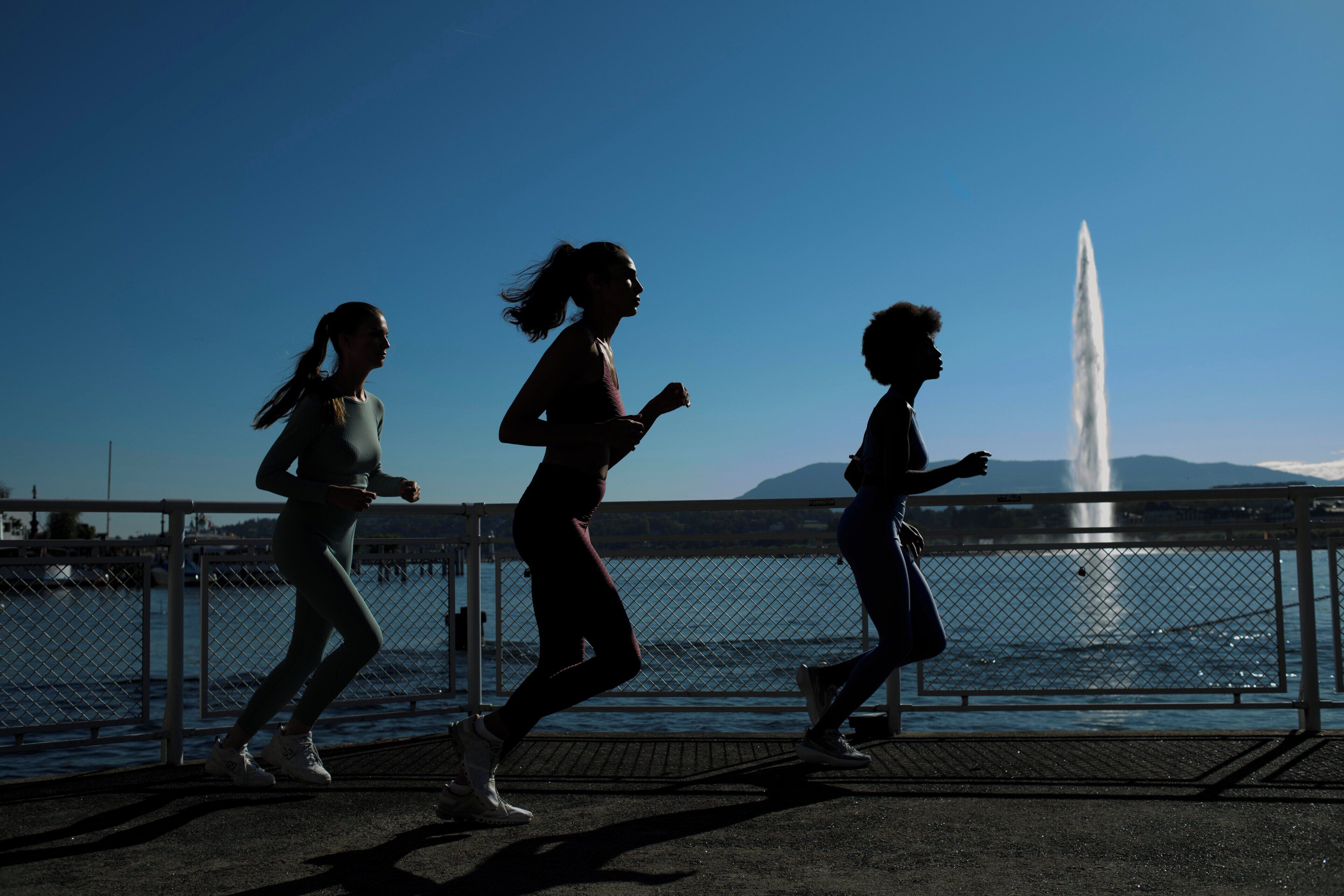 Four Seasons des Bergues