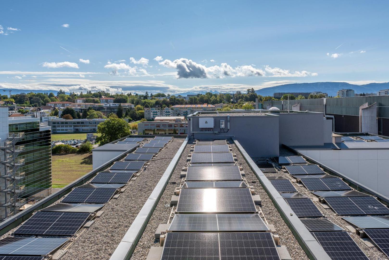 Hilton Geneva Hotel & Conference Centre Hilton Geneva Hotel & Conference Centre