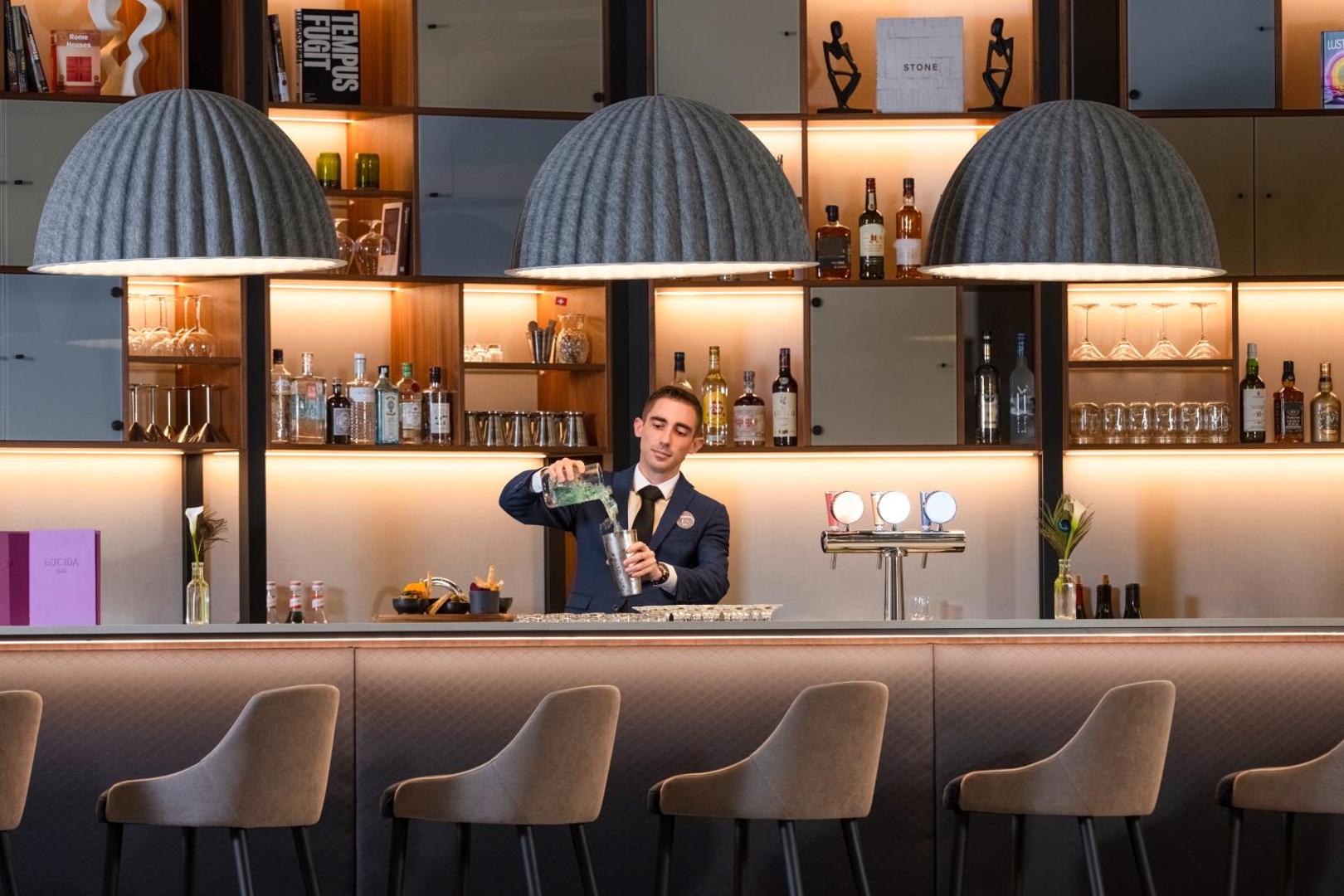 Mercure Geneva Airport Mercure Geneva Airport