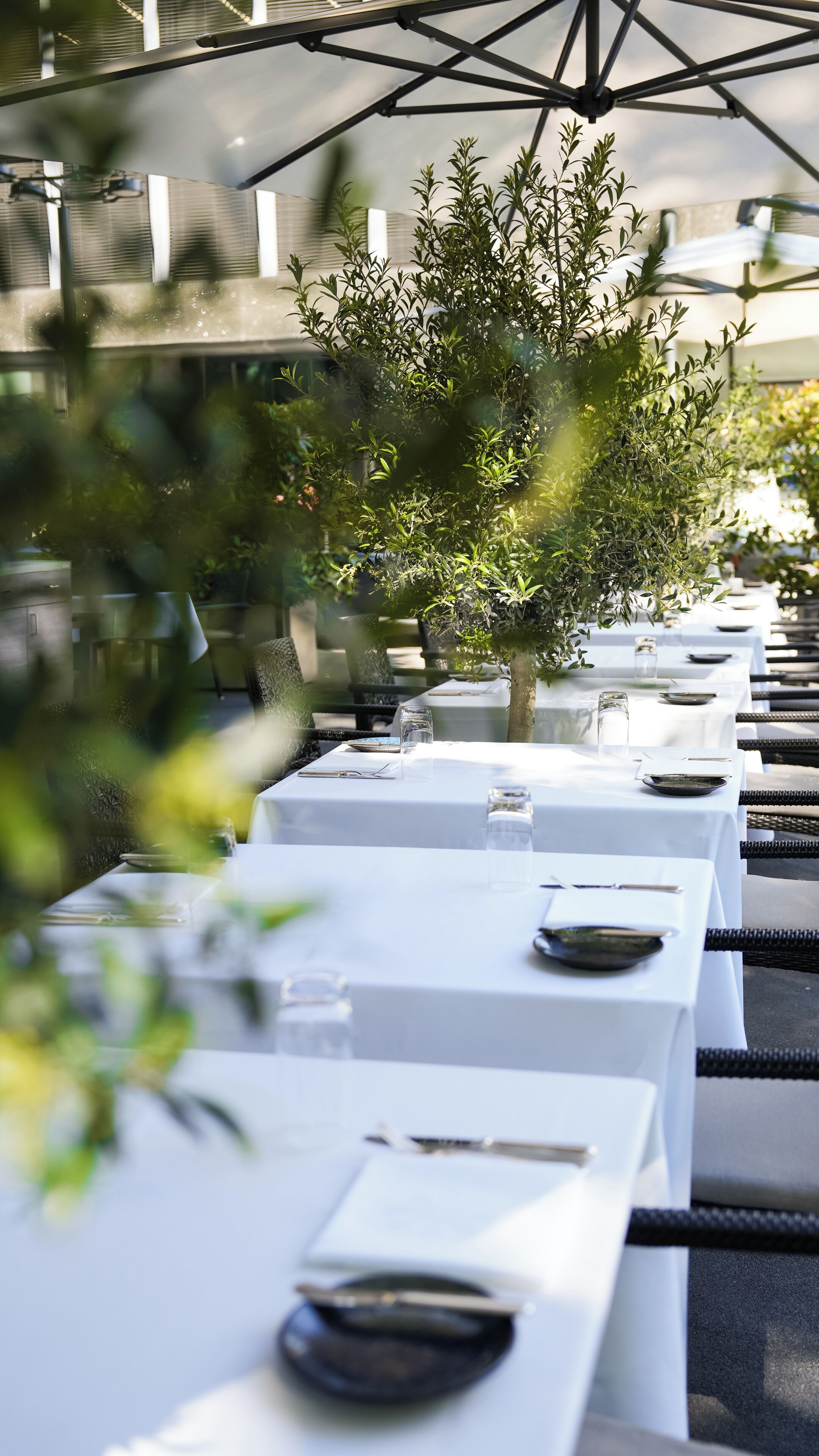 Park Hyatt Zürich Park Hyatt Zürich