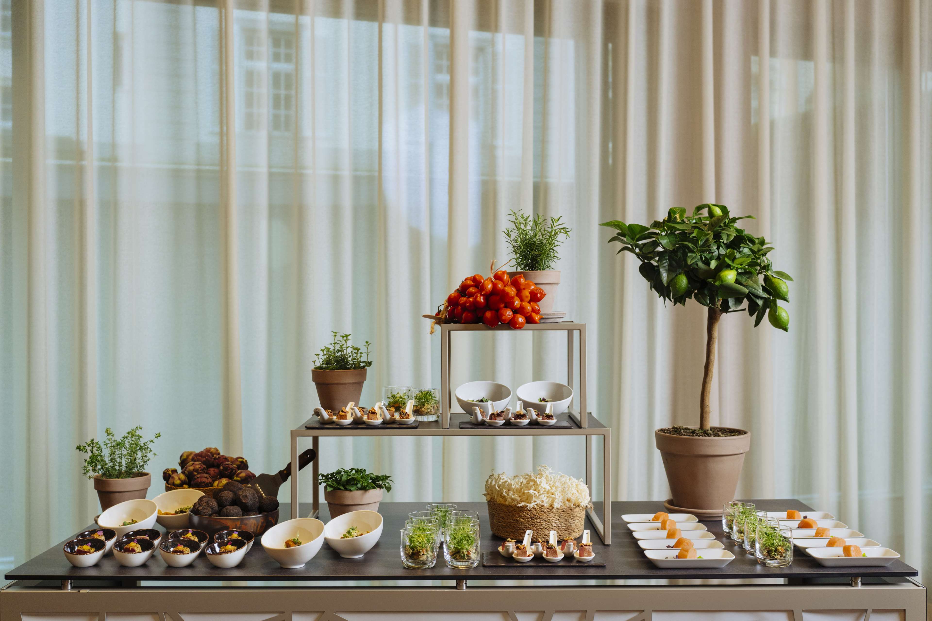 Park Hyatt Zürich Park Hyatt Zürich