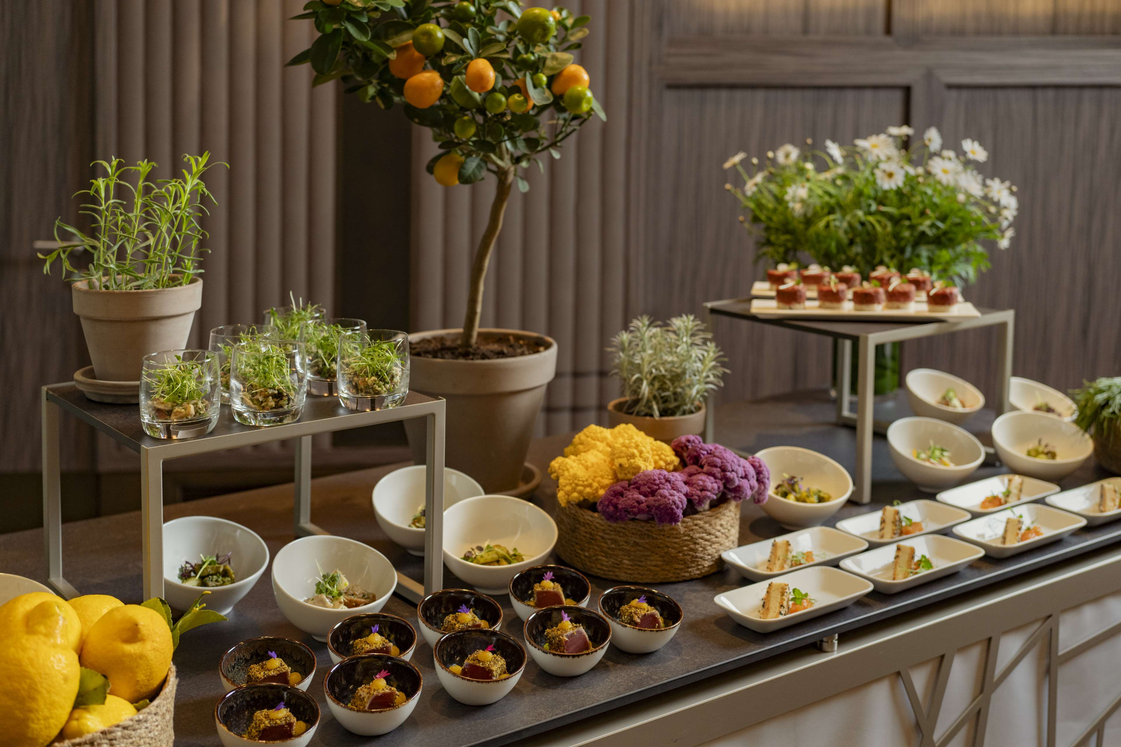 Park Hyatt Zürich Park Hyatt Zürich