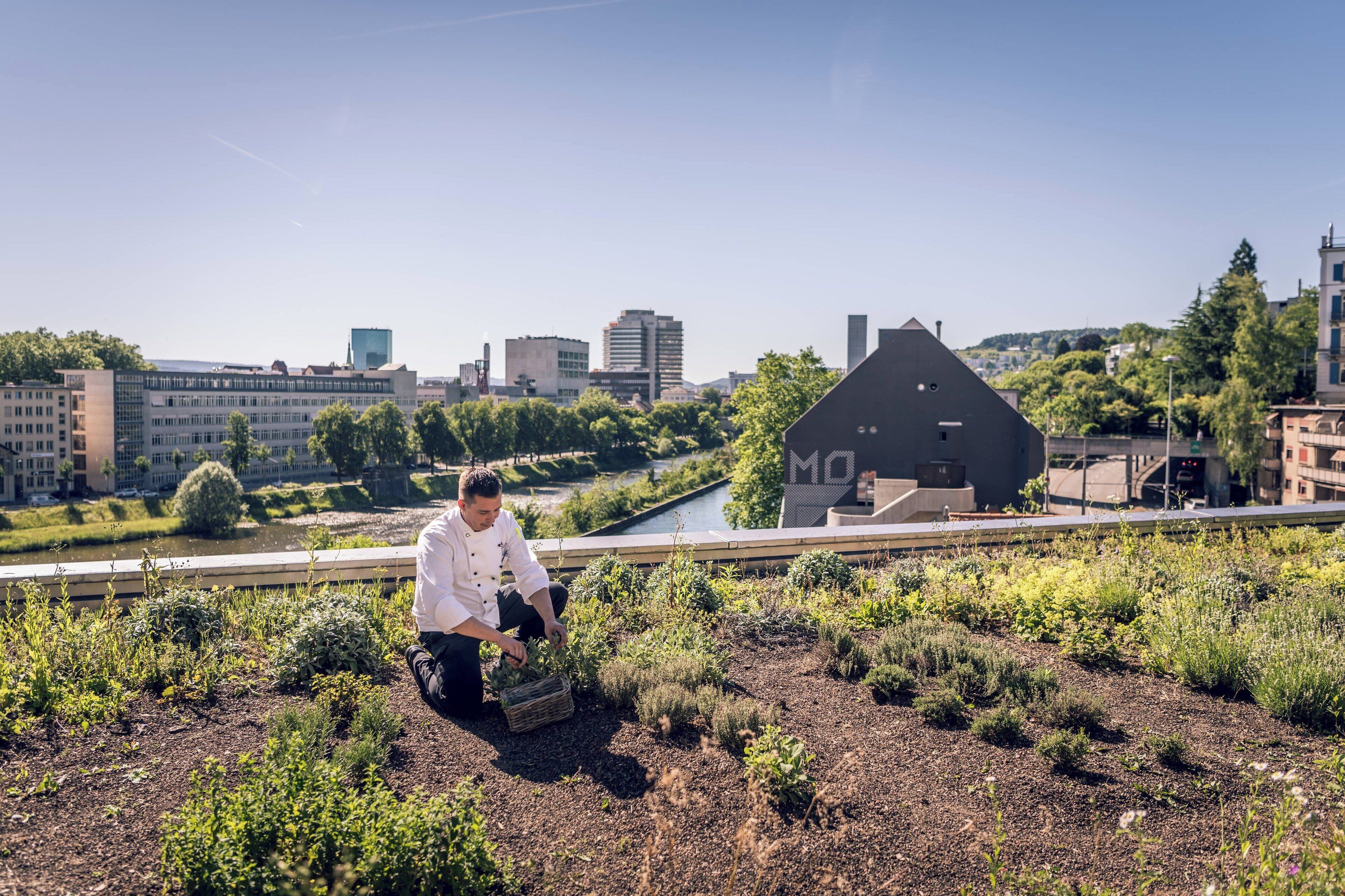 Zurich Marriott Hotel Zurich Marriott Hotel
