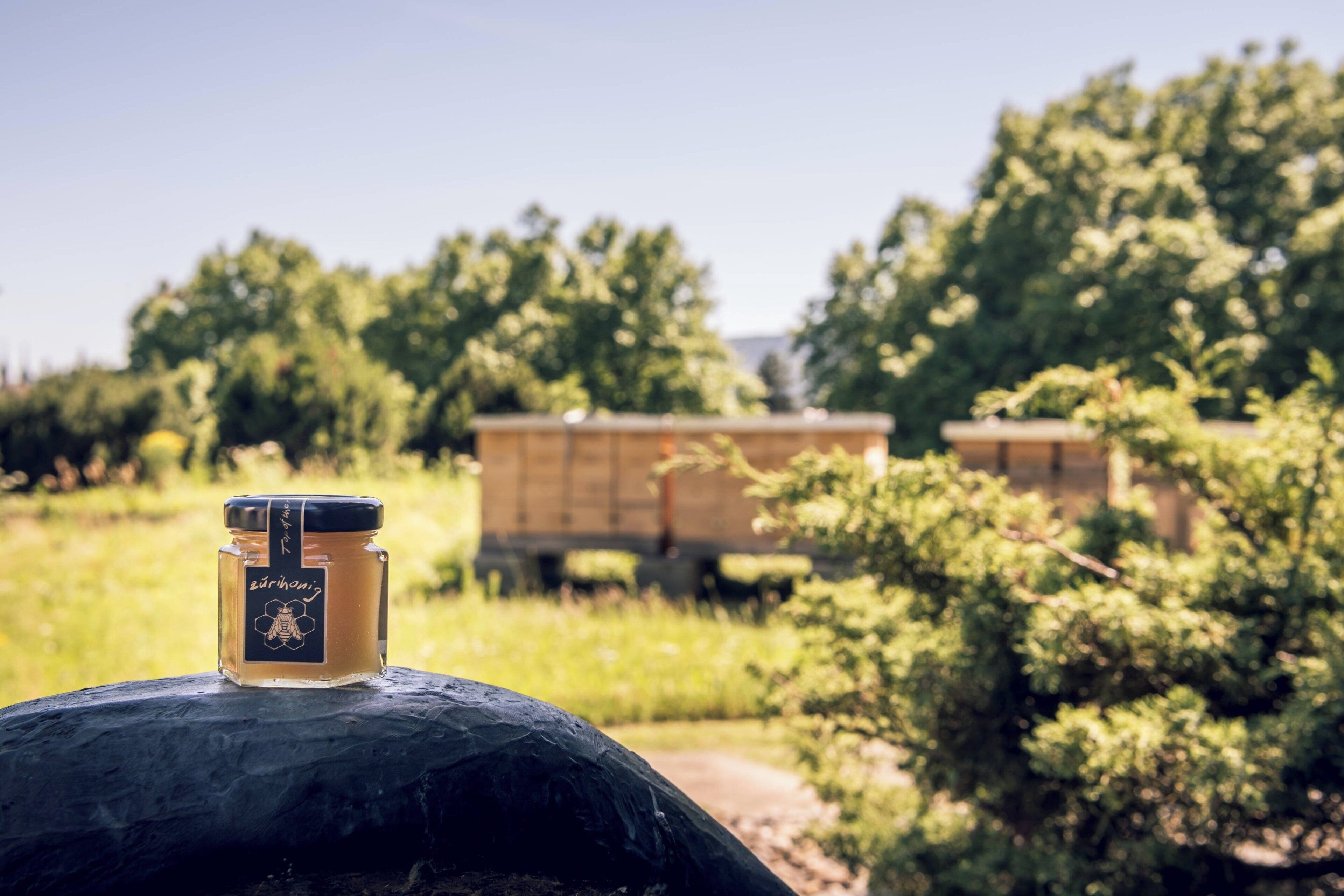 Zurich Marriott Hotel Zurich Marriott Hotel